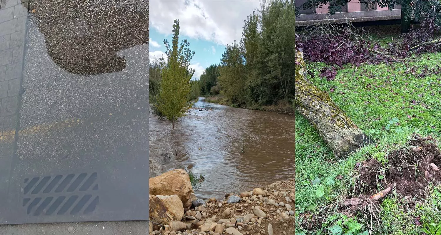 Consecuencias de la borrasca Aitor en El Bierzo: árboles arrancados de cuajo, crecida de los ríos y alcantarillas desbordadas