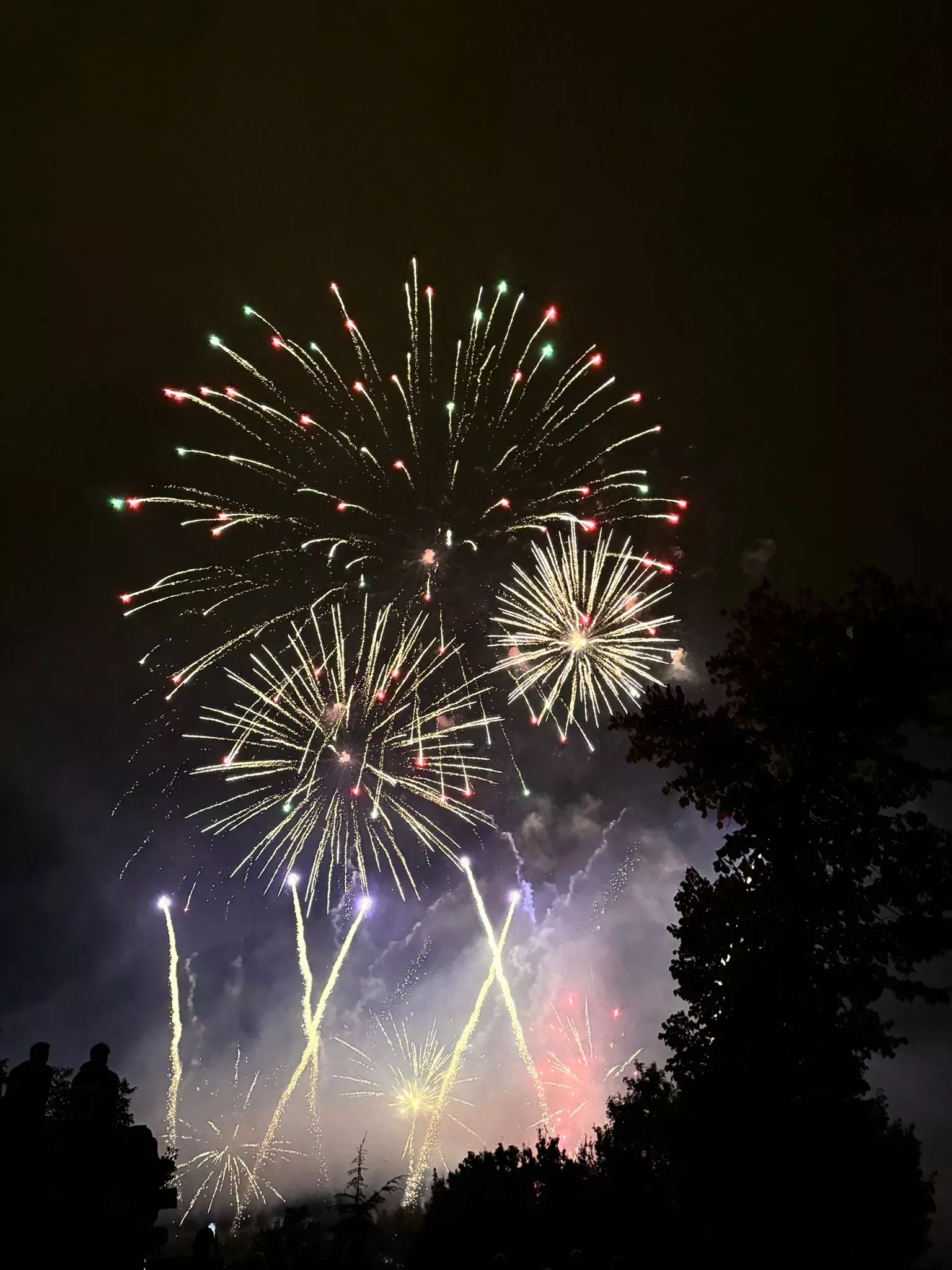 PiBierzo gana el concurso de Fuegos Artificiales de las Fiestas de San Mateo de Logroño 