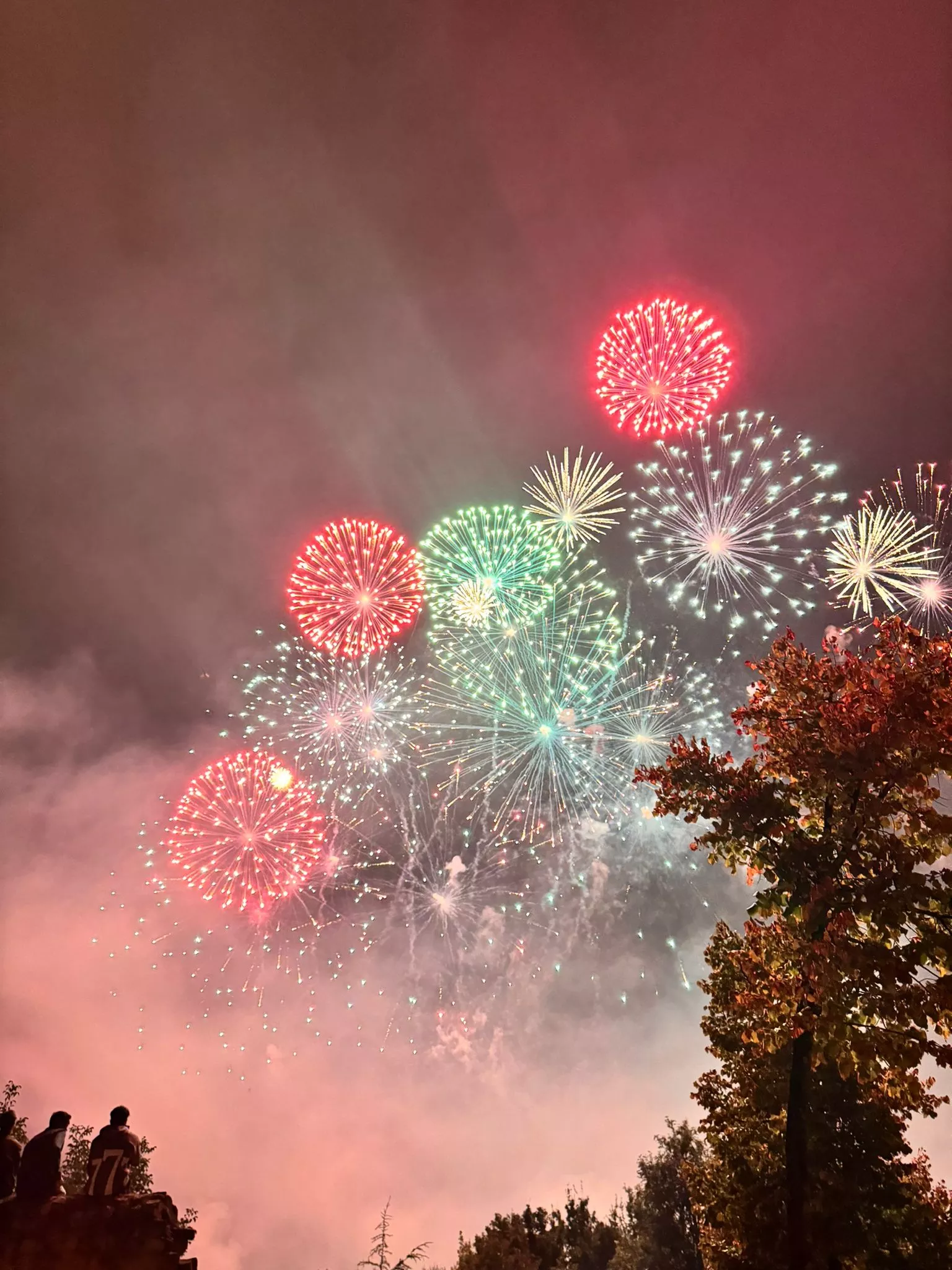 PiBierzo gana el concurso de Fuegos Artificiales de las Fiestas de San Mateo de Logroño