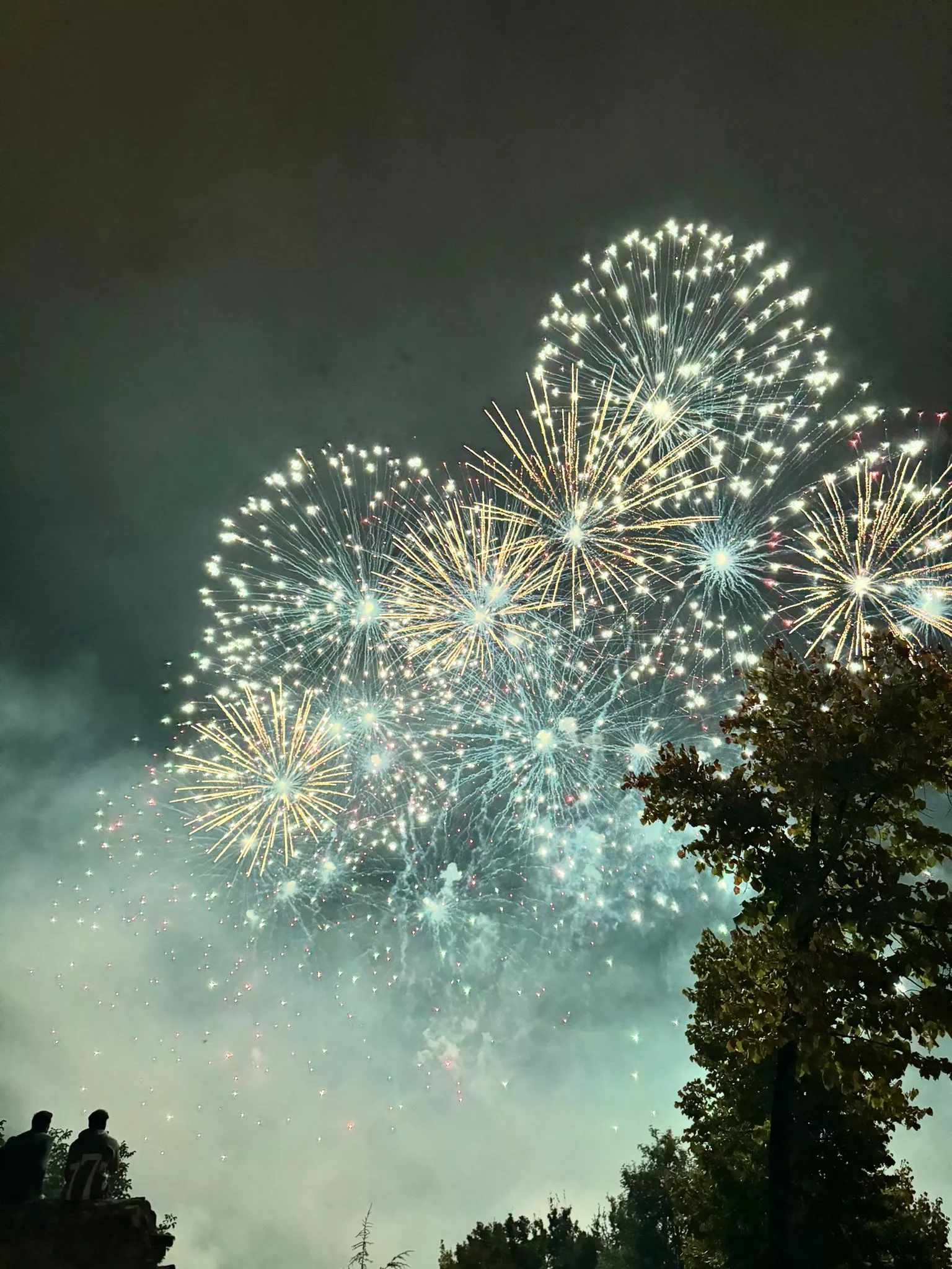 PiBierzo gana el concurso de Fuegos Artificiales de las Fiestas de San Mateo de Logroño 