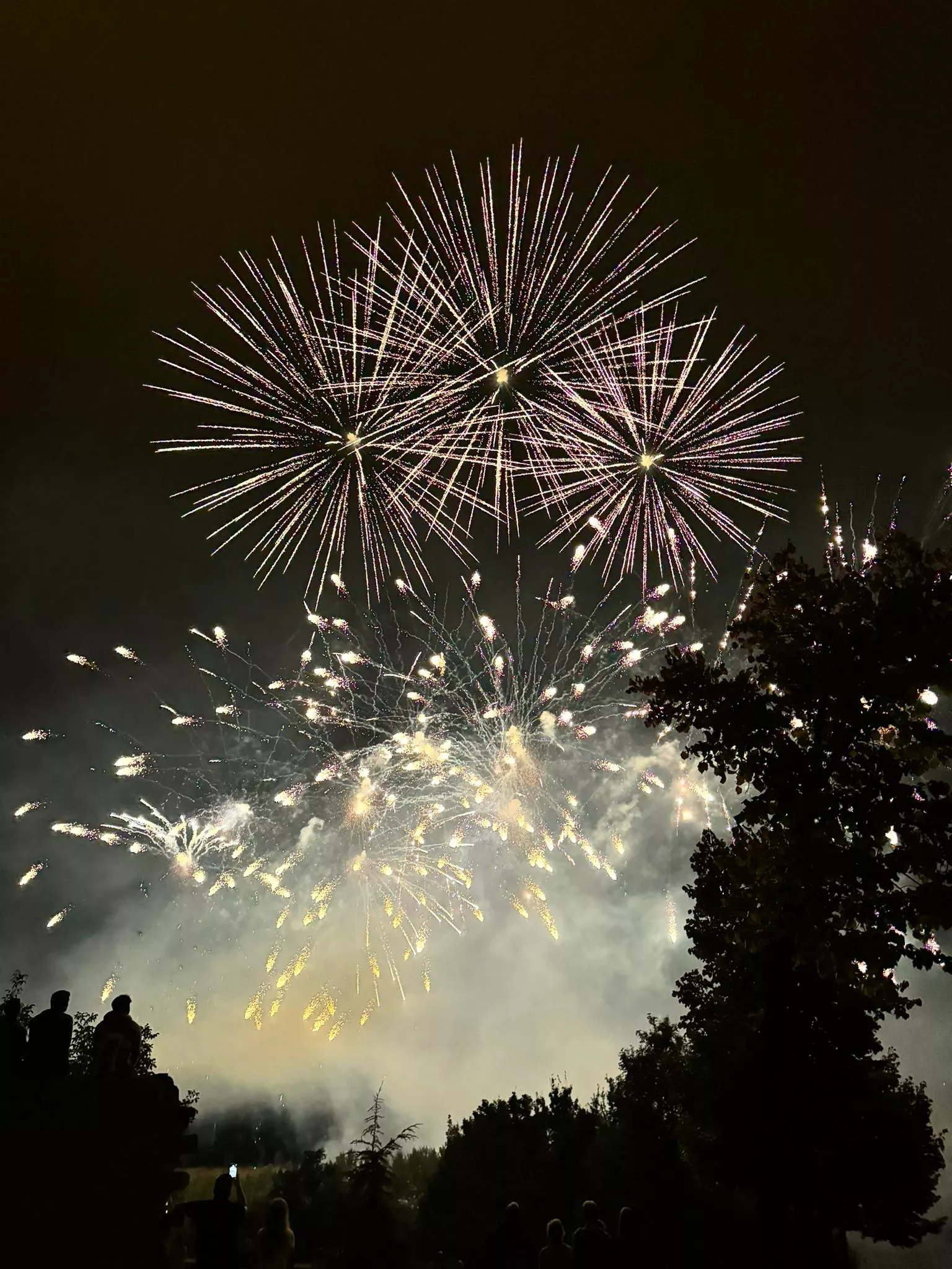 PiBierzo gana el concurso de Fuegos Artificiales de las Fiestas de San Mateo de Logroño 