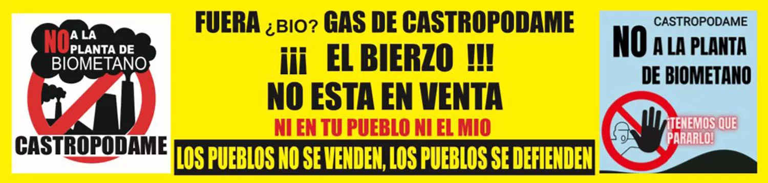 Los vecinos de Castropodame se manifiestan en Valladolid contra la planta de biogás