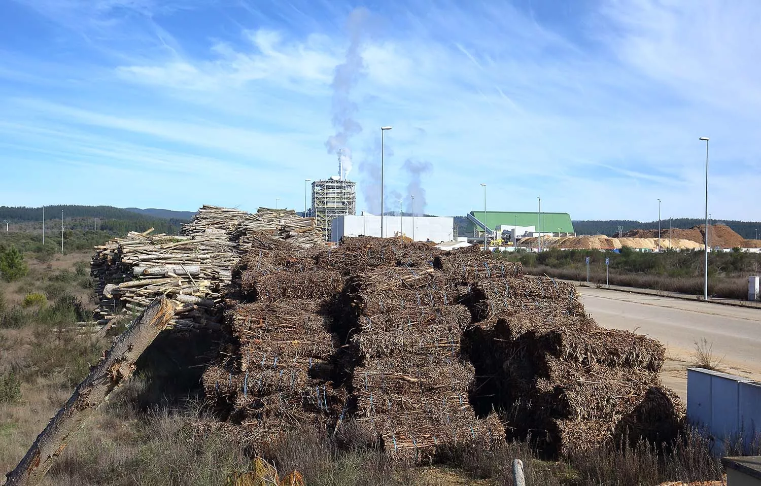 Actividad de la empresa Forestalia en el polígono industrial de Cubillos del Sil