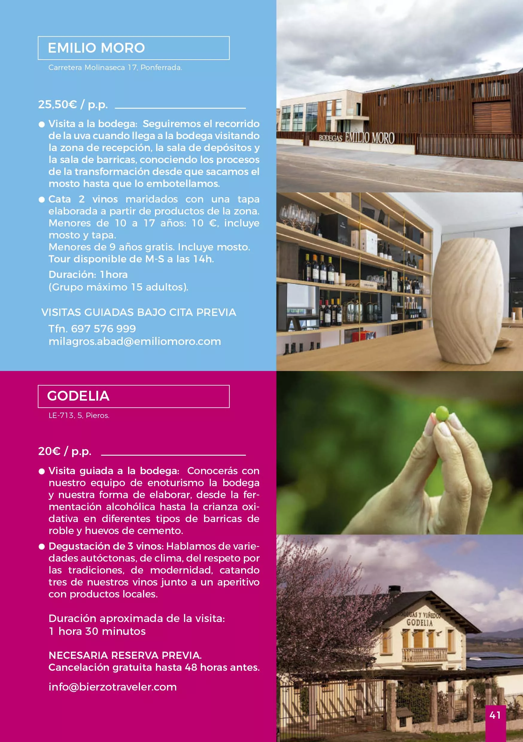 Jornadas Gastronomicas del Bierzo 2024 41