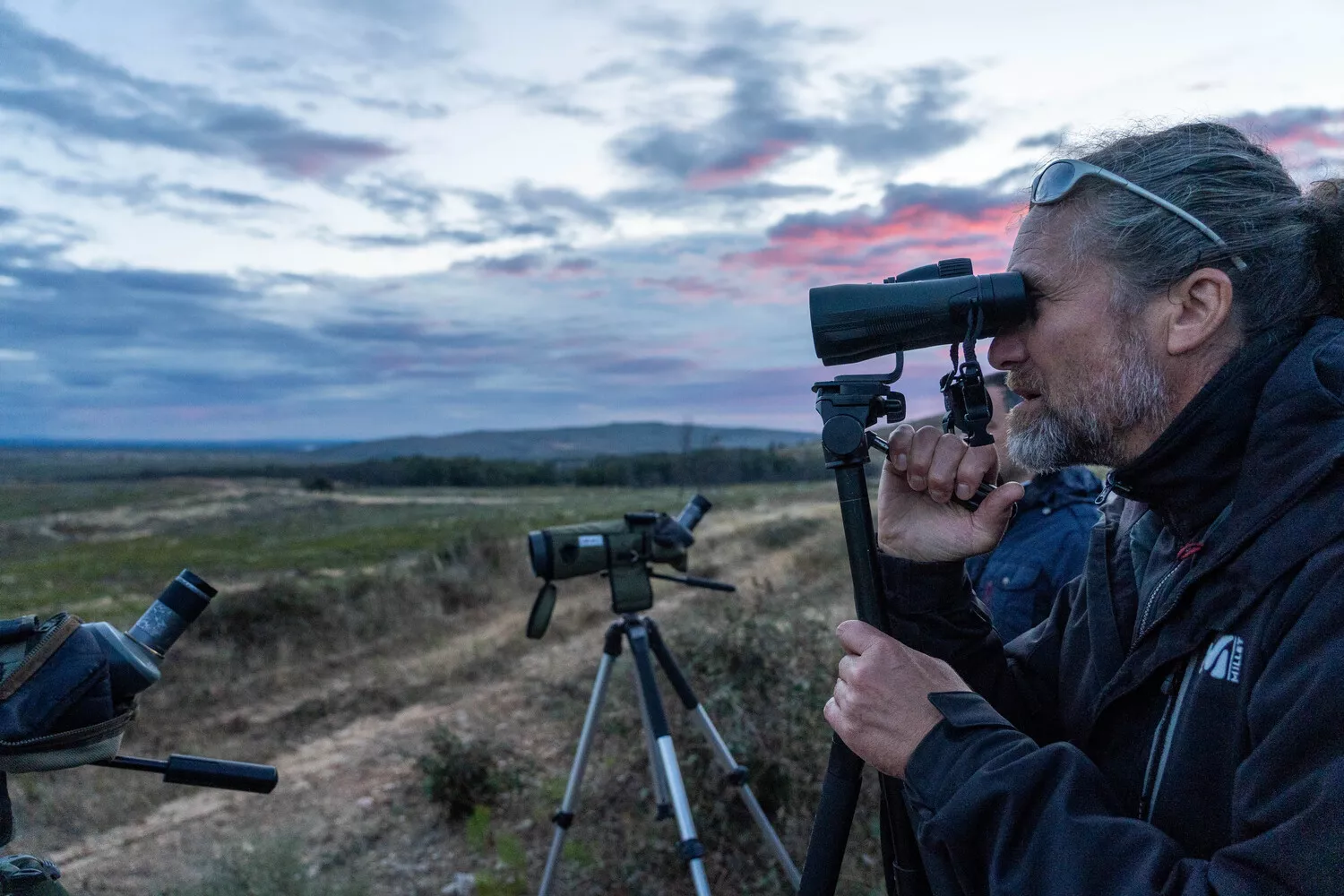 Observación de la berrea del ciervo en la Sierra de la Culebra (Zamora)