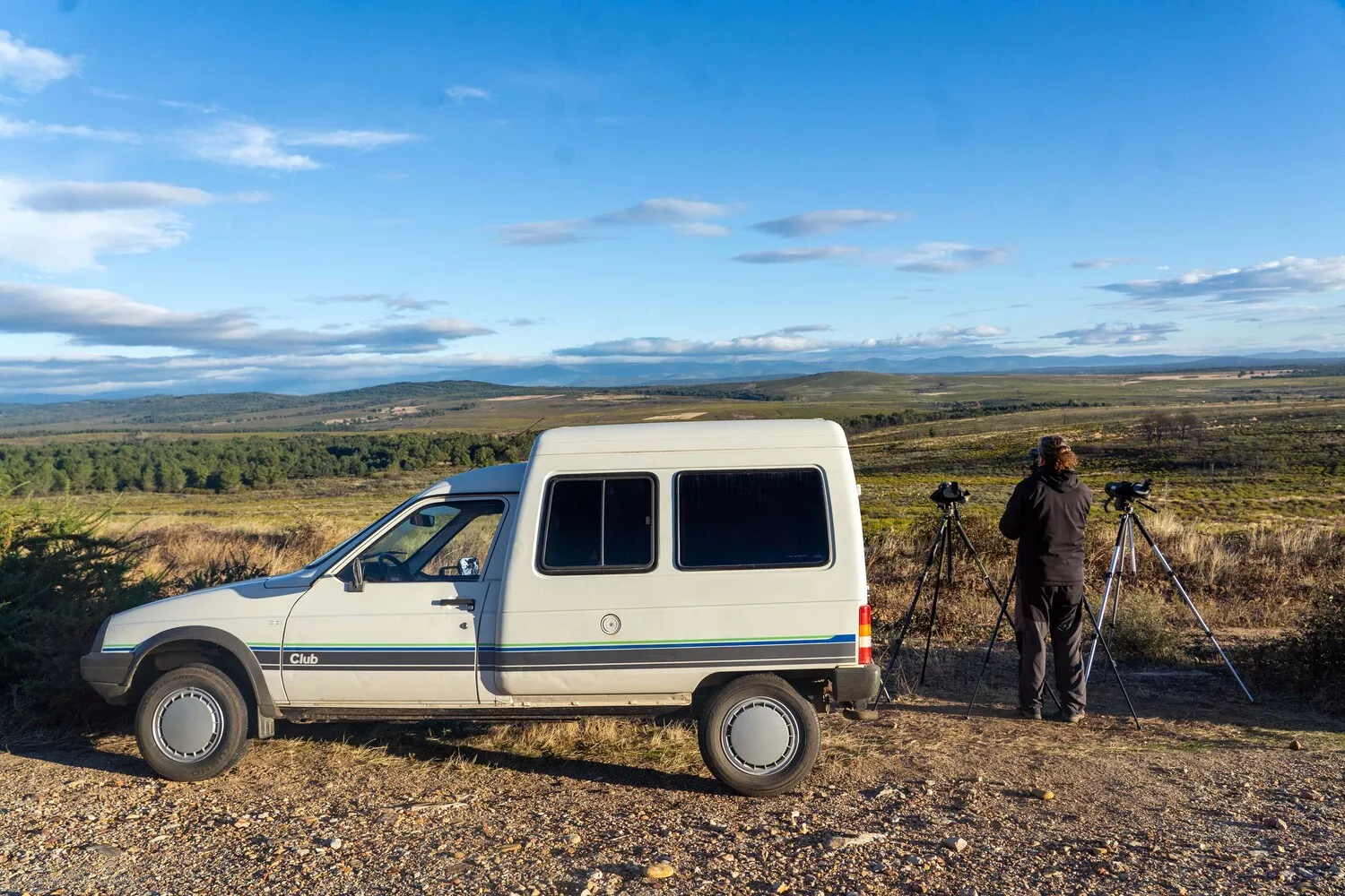 Observación de la berrea del ciervo en la Sierra de la Culebra (Zamora)