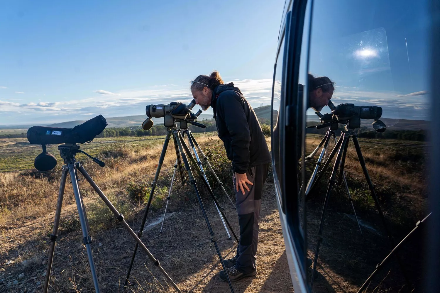 Observación de la berrea del ciervo en la Sierra de la Culebra (Zamora)