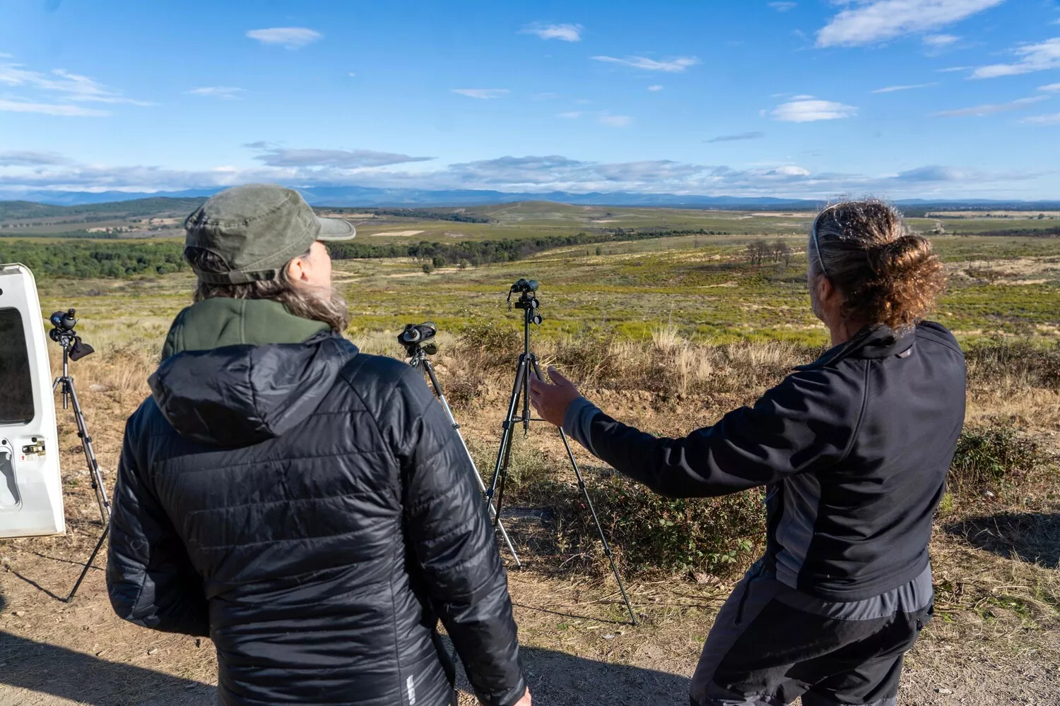 Observación de la berrea del ciervo en la Sierra de la Culebra (Zamora)