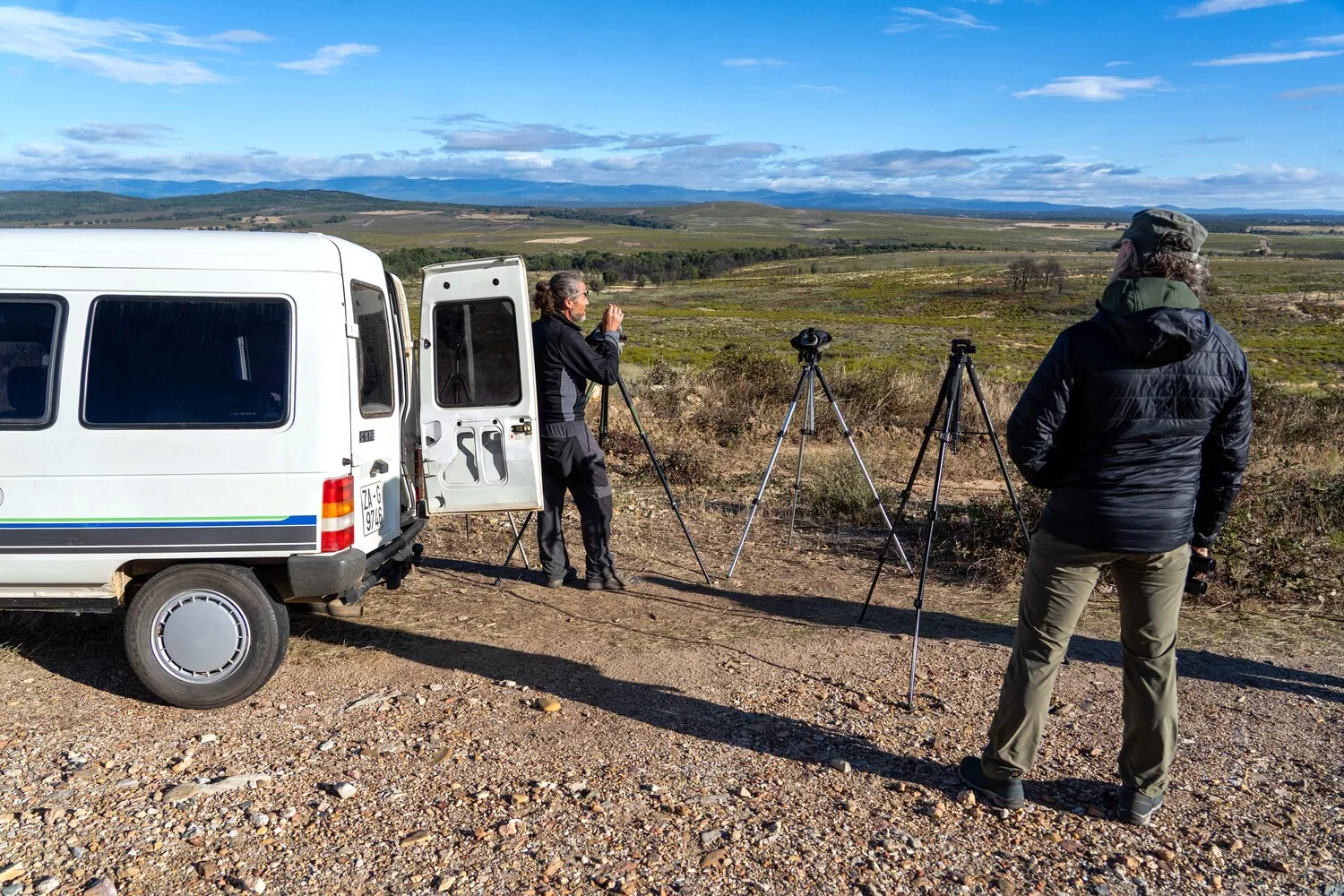 Observación de la berrea del ciervo en la Sierra de la Culebra (Zamora)