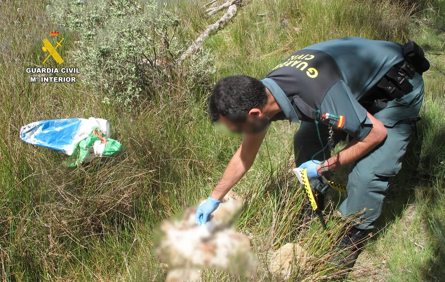 Investigan a dos hombres por la muerte de dos perros en Zamora; uno, estrangulado con alambres y otro, por inanición