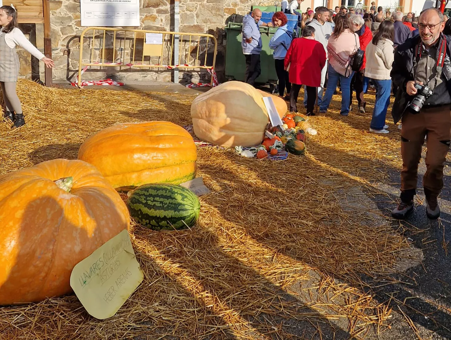 Calabaza ganadora de la Feria de Igüeña