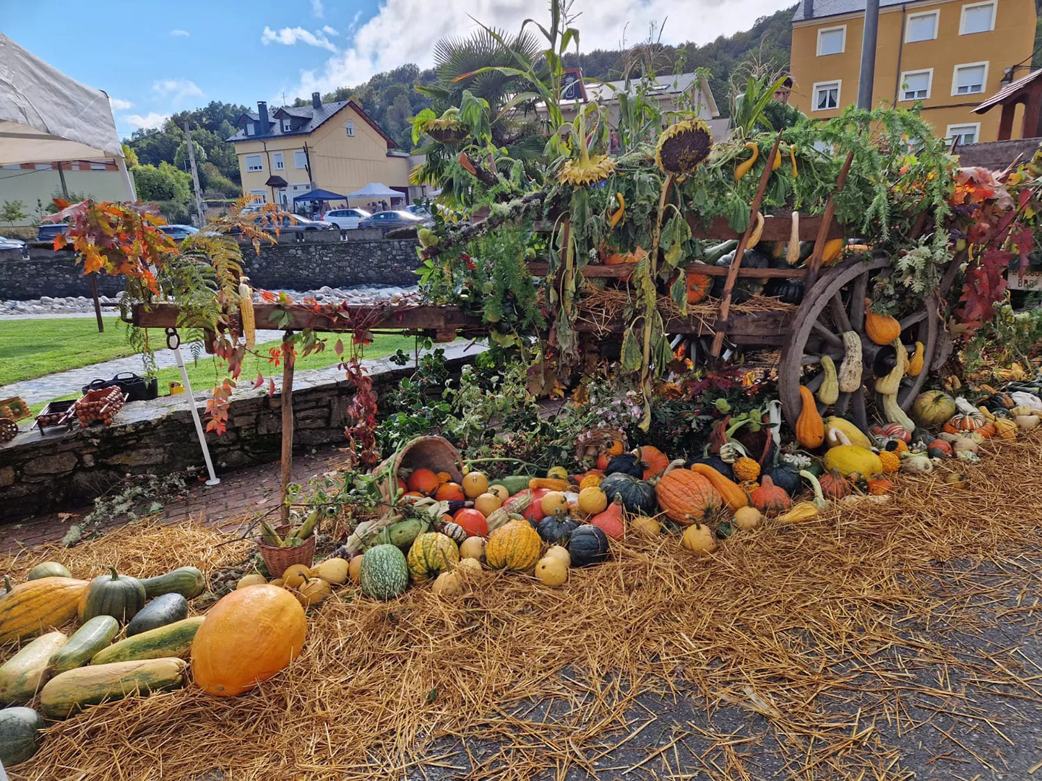 Feria de la Calabaza Igüeña