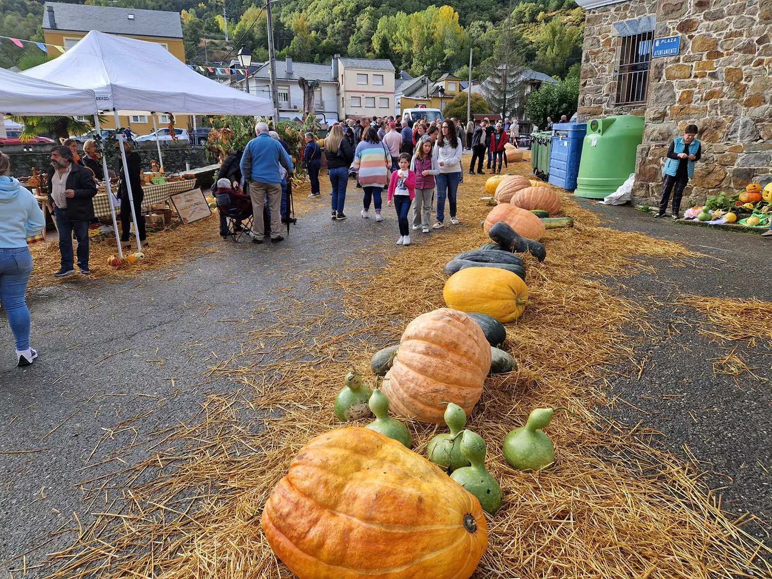 Fería de la Calabaza de Igüeña