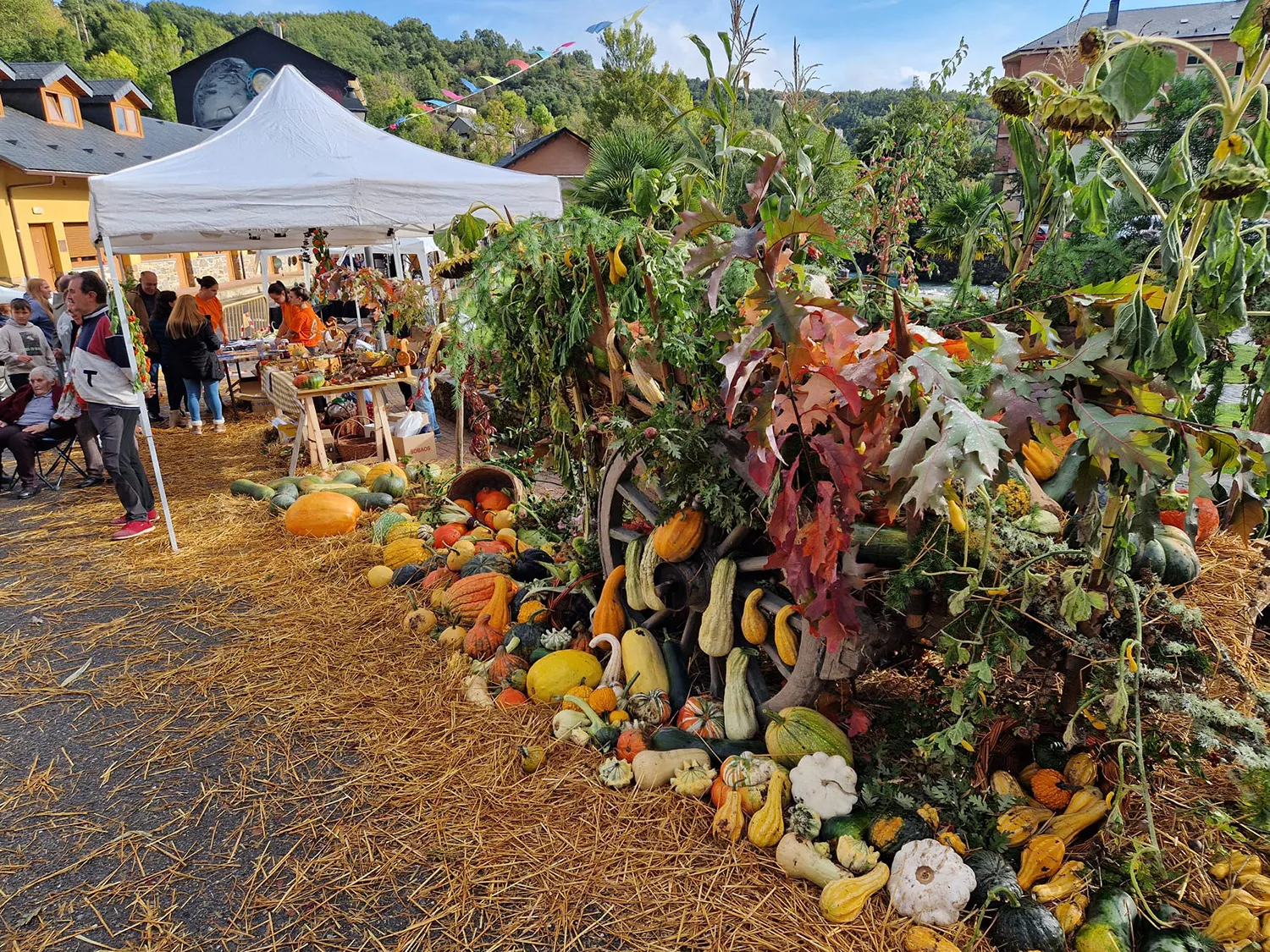 Feria de la Calabaza de Igüeña 