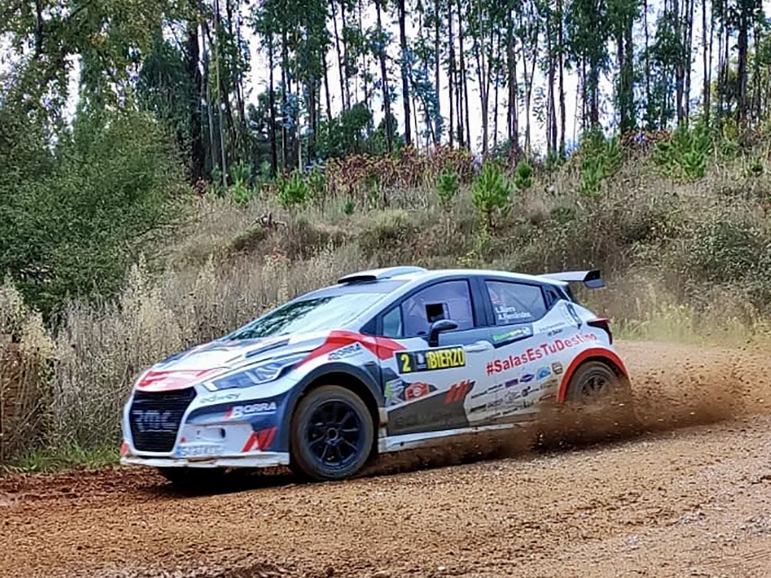 Luis Borra se impone en el VIII Rallye Tierra del Bierzo