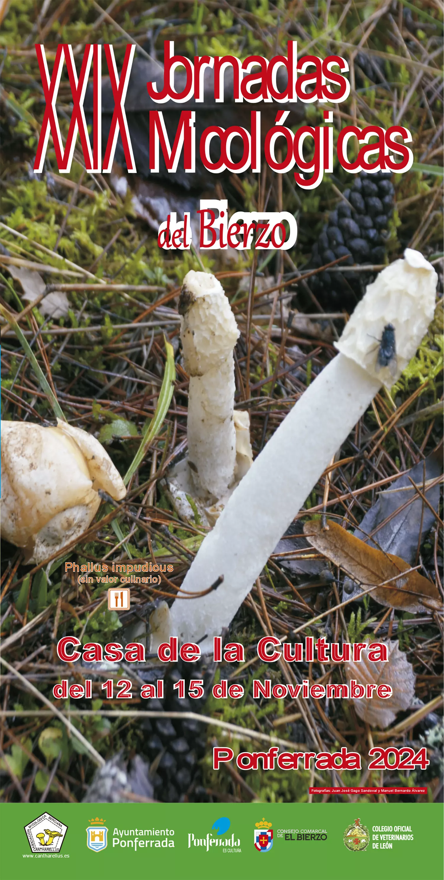 Cartel Jornadas Micológicas del Bierzo