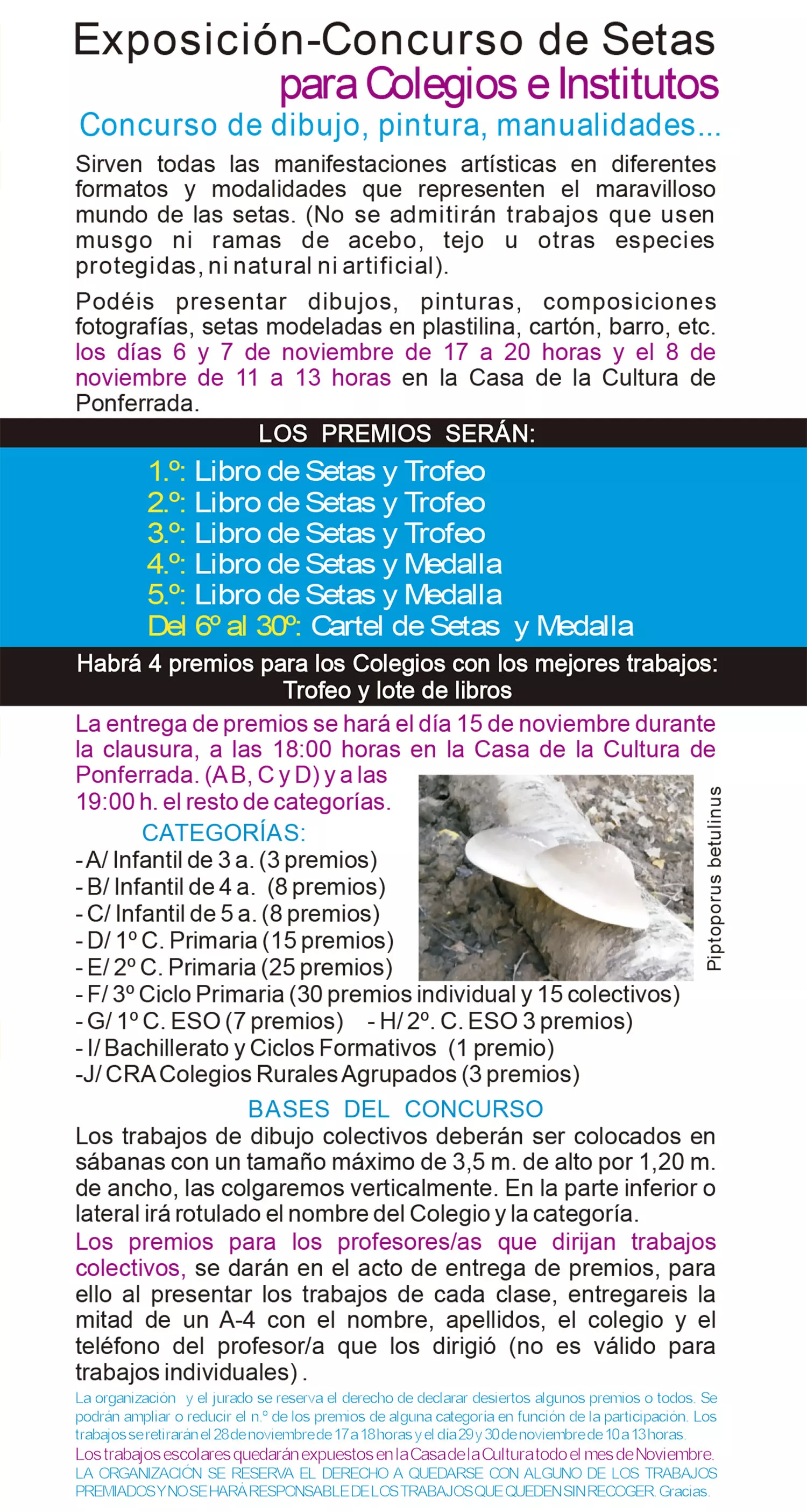 Cartel Jornadas Micológicas del Bierzo 