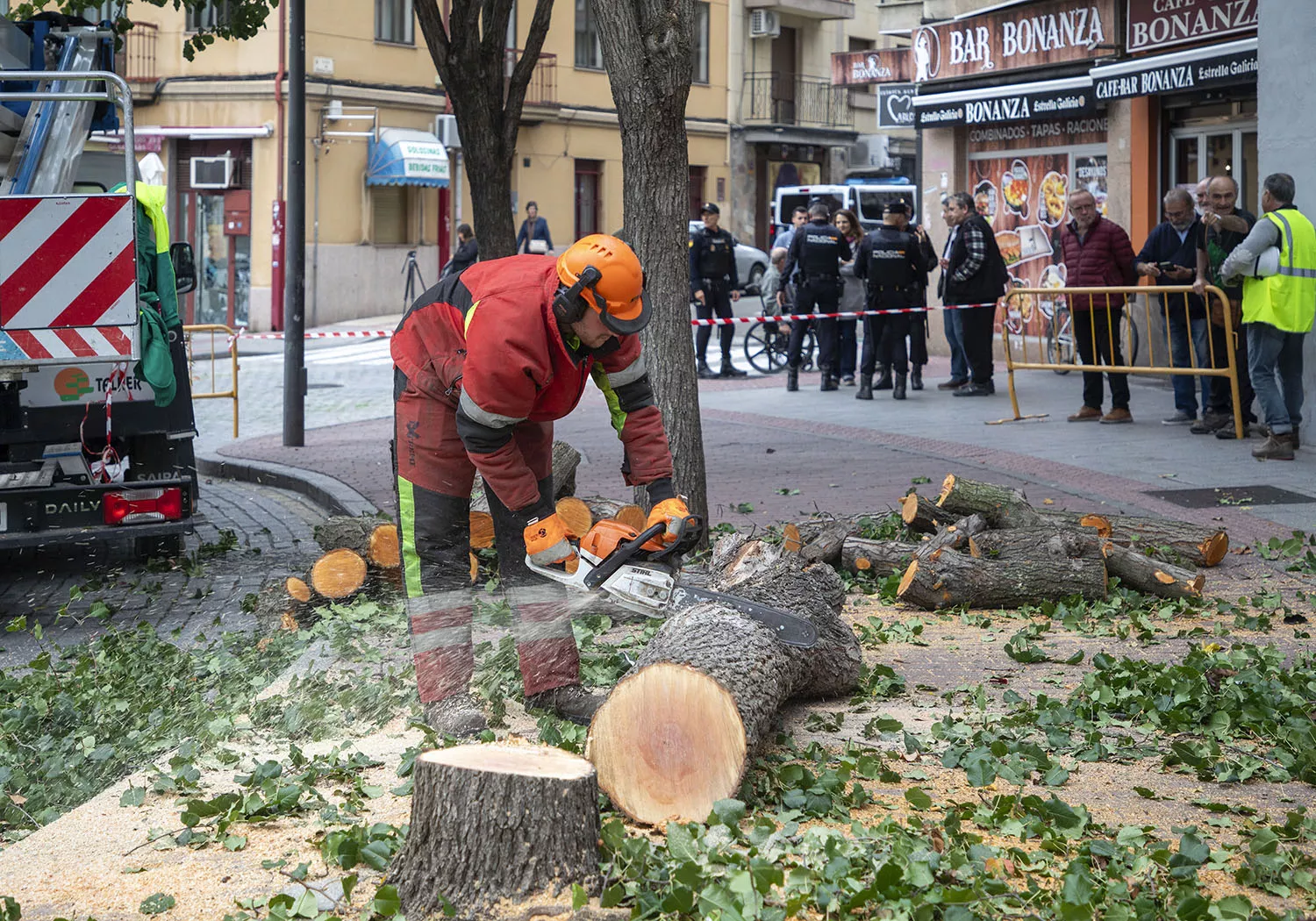 Tala de árboles en la plaza del Oeste de Salamanca