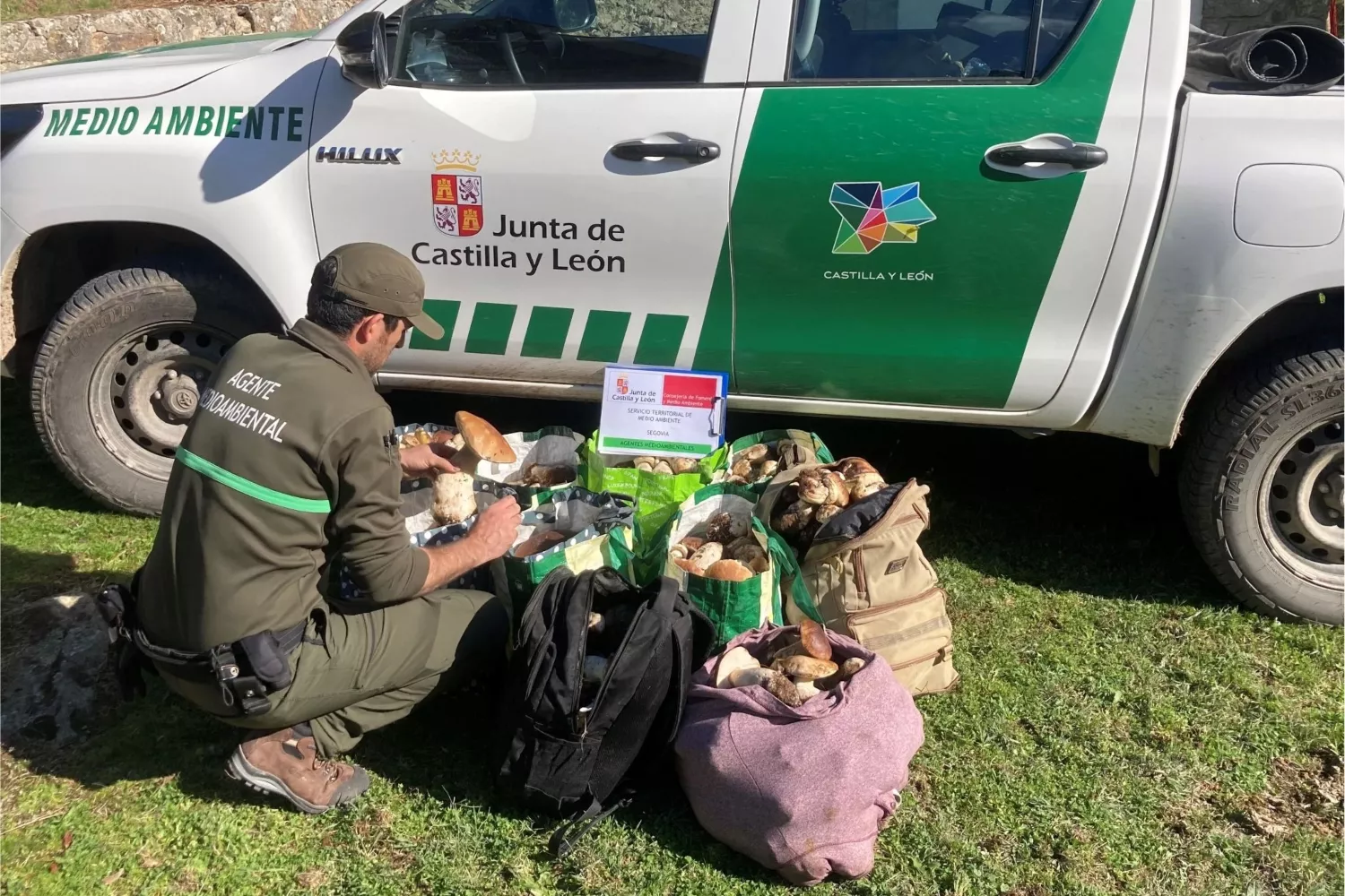 Decomisan más de 90 kilos de boletus en controles micológicos en la provincia de Segovia