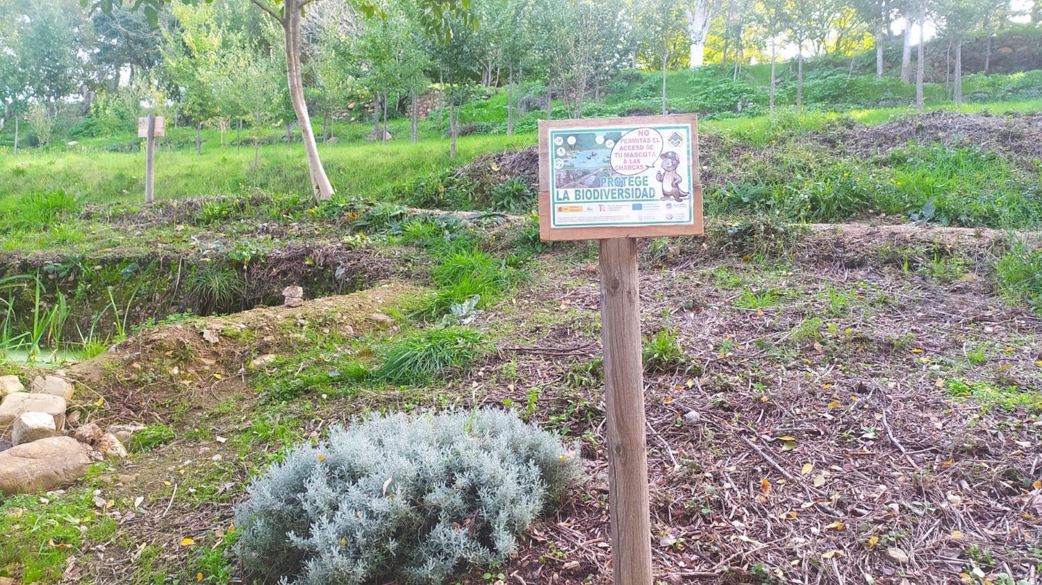 Ladera del Plantío (1)