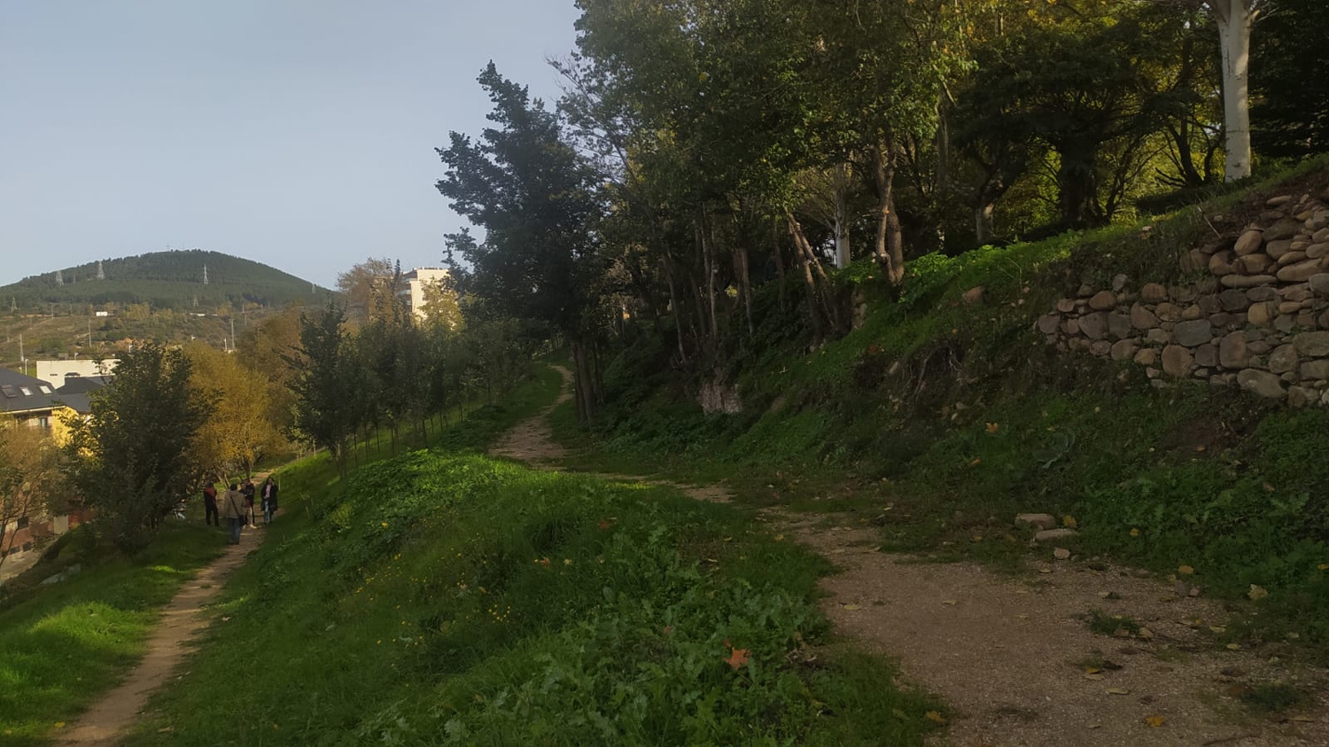 Ladera del Plantío (5)