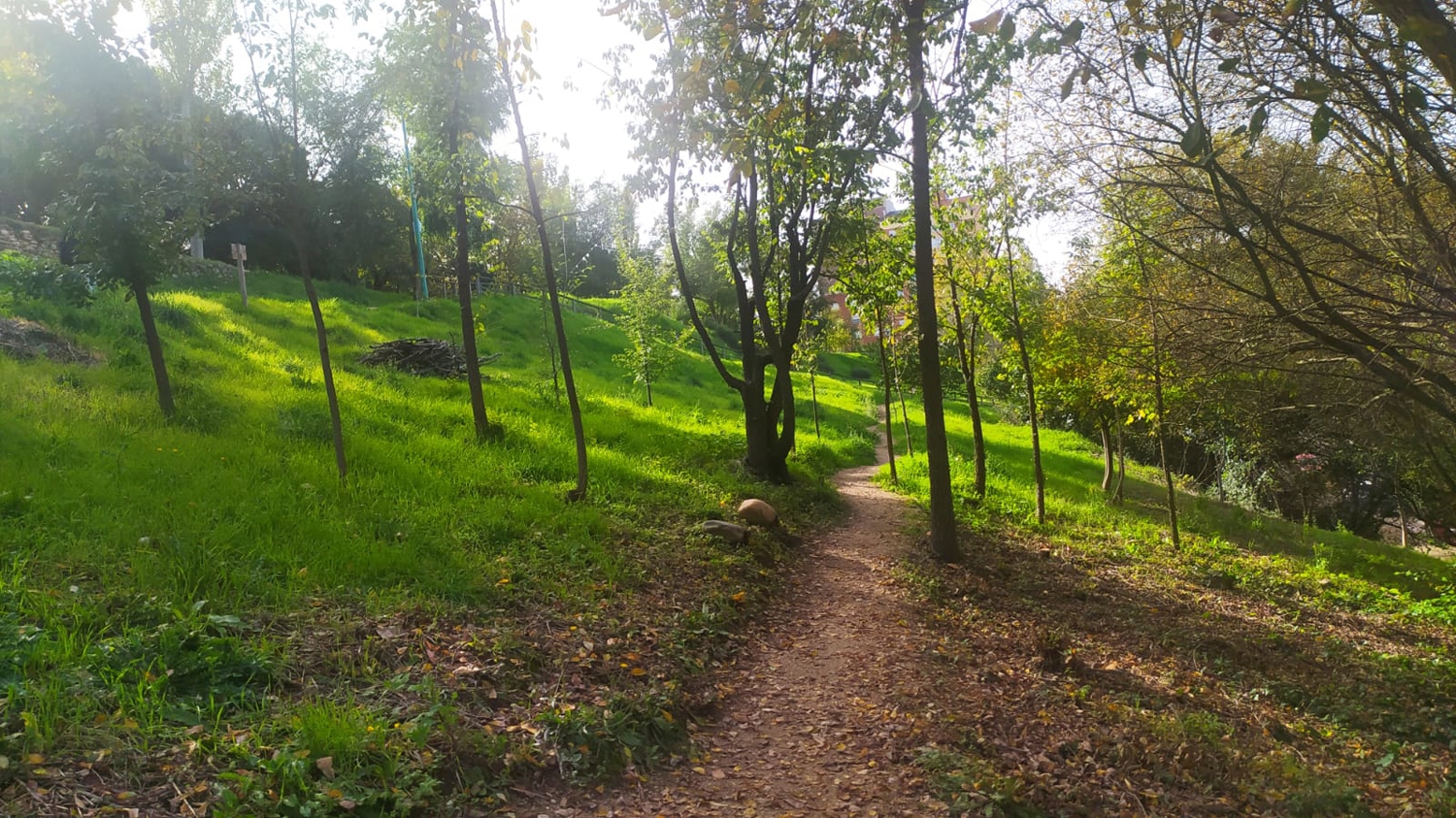 Ladera del Plantío (6)