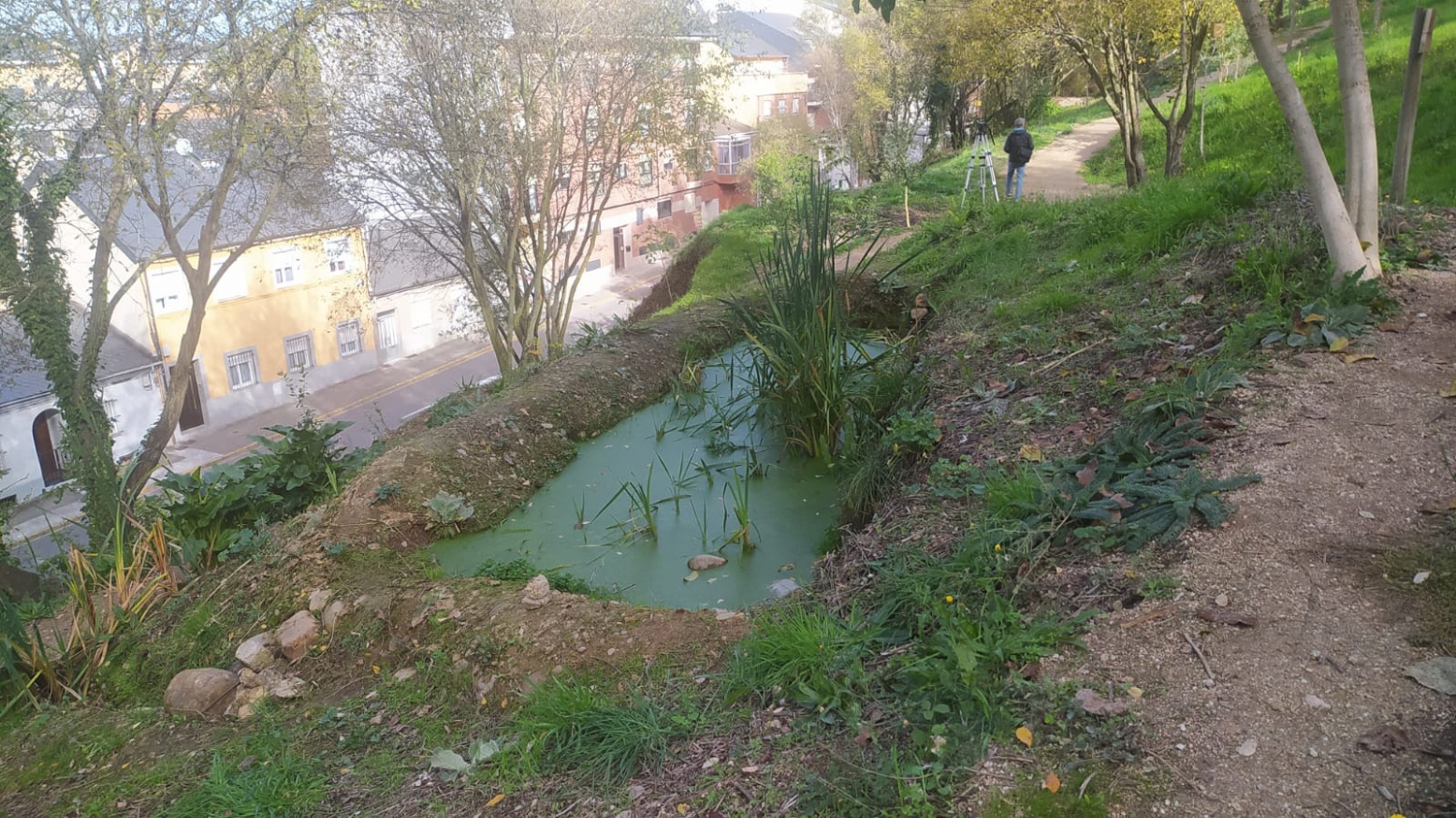 Ladera del Plantío (8)