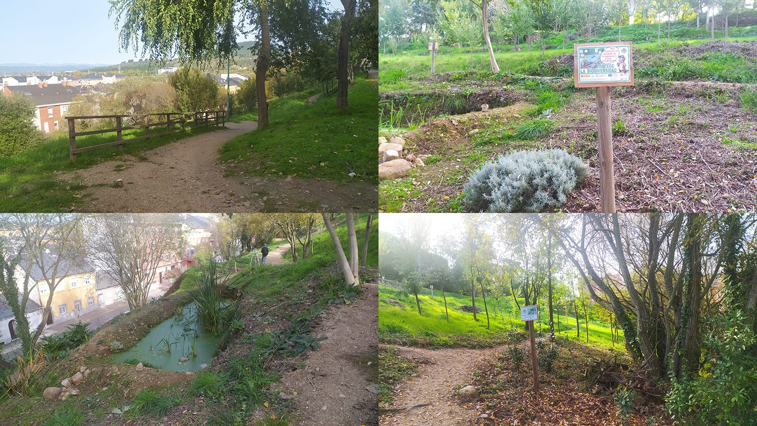 Ponferrada amplía la ladera del Parque del Plantío con dos kilómetros de sendas con 300 plantas autóctonas y tres charcas