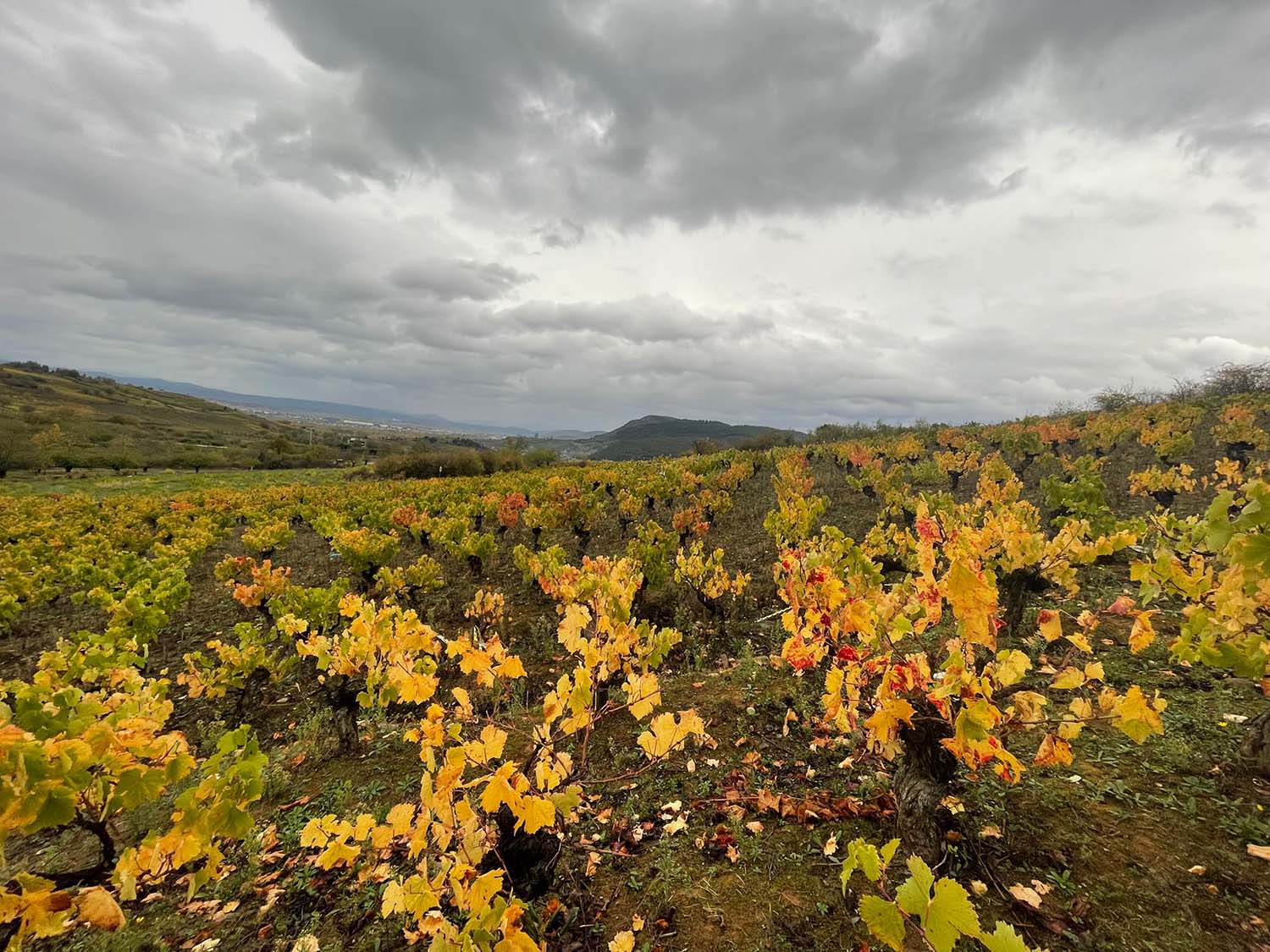 Tiempo nublado y otoñal en El Bierzo