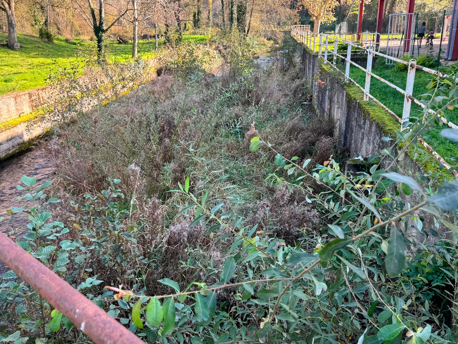 Estado actual del río a su paso por el casco urbano de Toral de Merayo