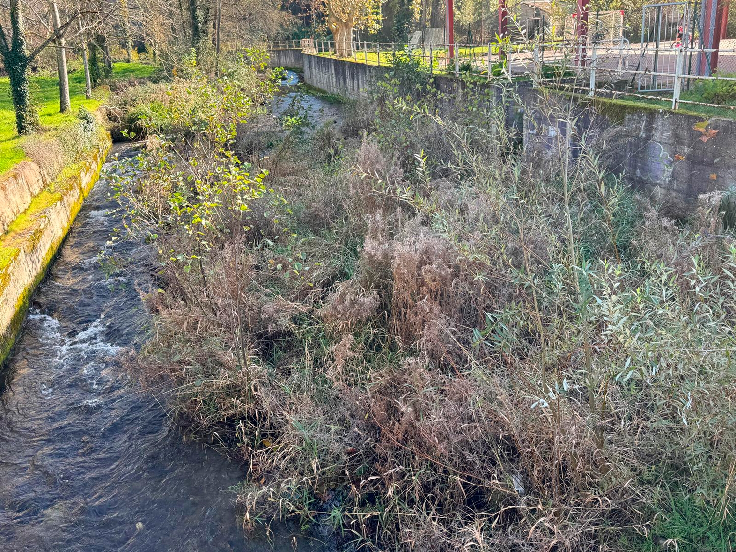 Estado actual del río a su paso por el casco urbano de Toral de Merayo 