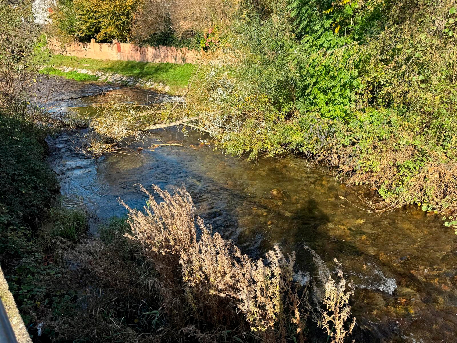 Estado actual del río a su paso por el casco urbano de Toral de Merayo