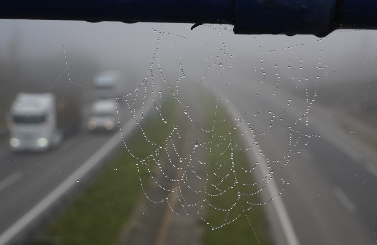 La niebla, protagonista en la A6 a su paso por El Bierzo