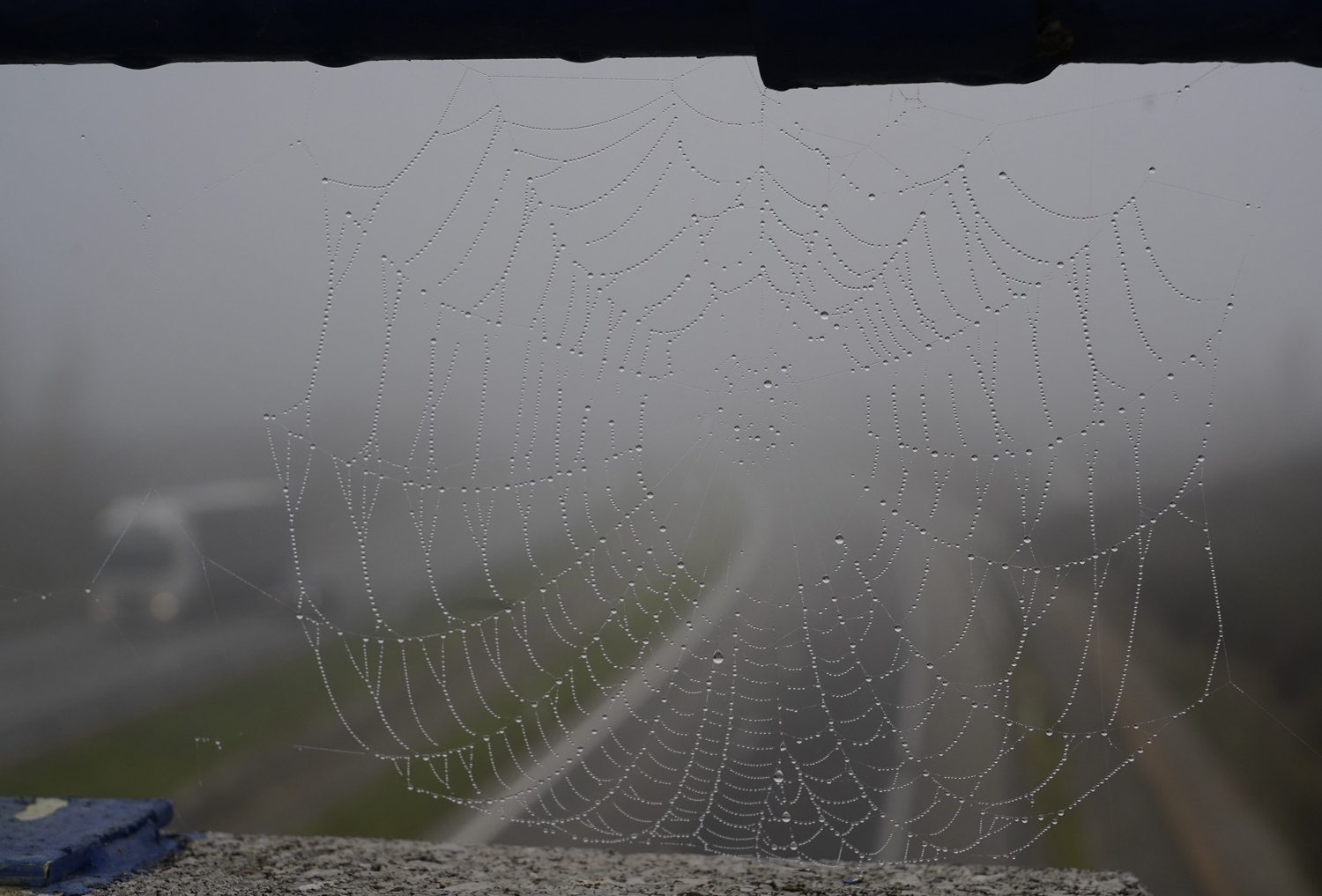 Niebla en la A6 en El Bierzo (8)