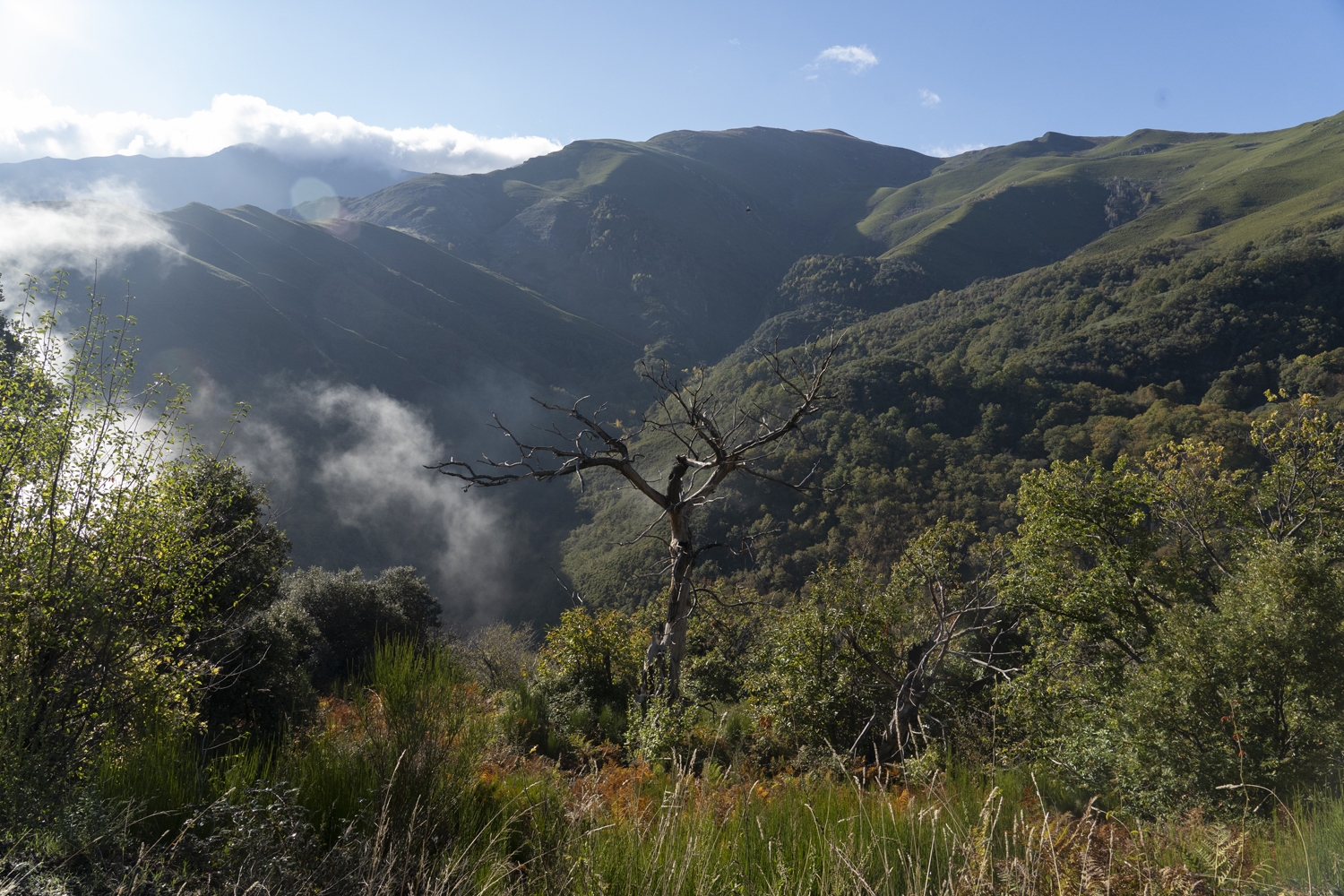 Ruta BTT en los canales romanos de la Tebaida Berciana | Foto: César Sánchez, ICAL