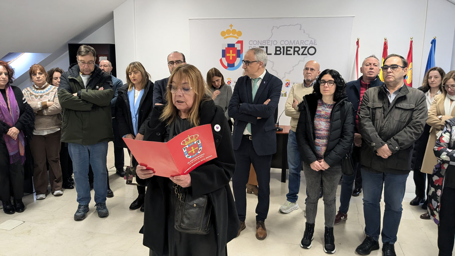 25N en el Consejo Comarcal 