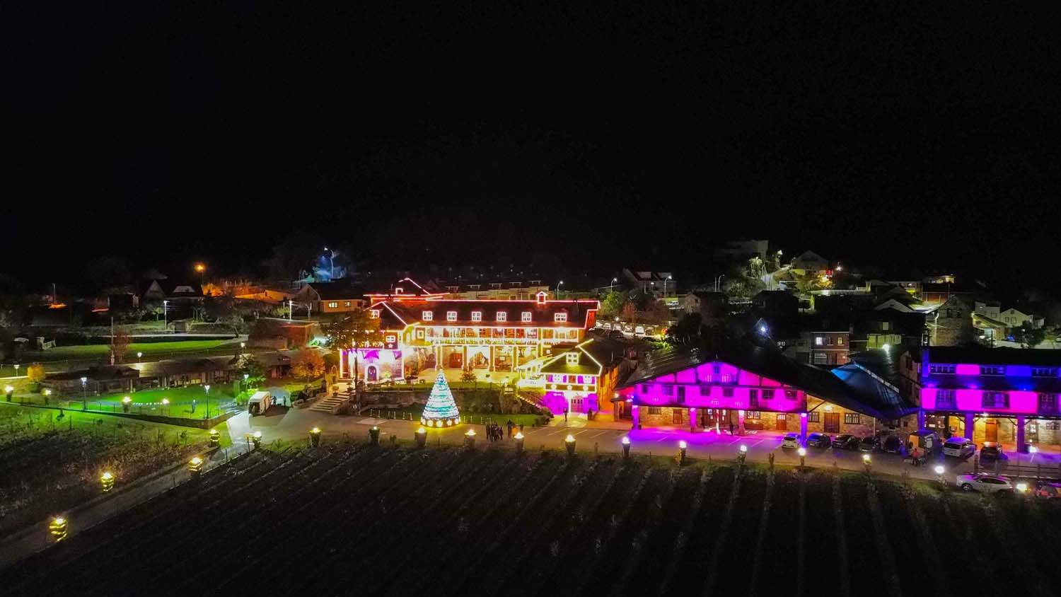 Encendido de las luces de Navidad del Palacio de Canedo (1)