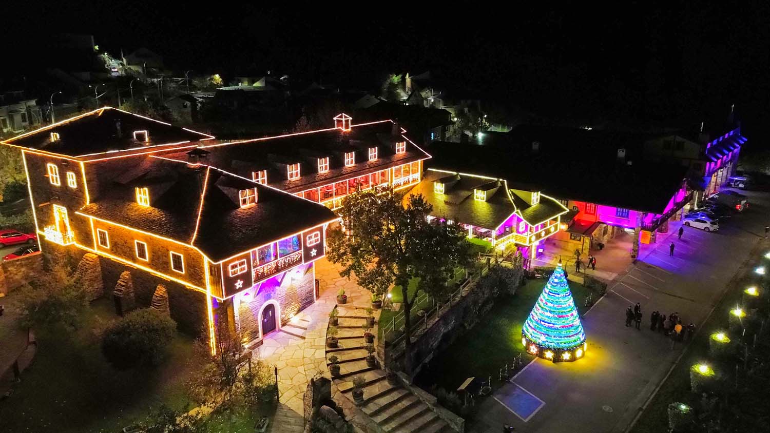 Encendido de las luces de Navidad del Palacio de Canedo (47)