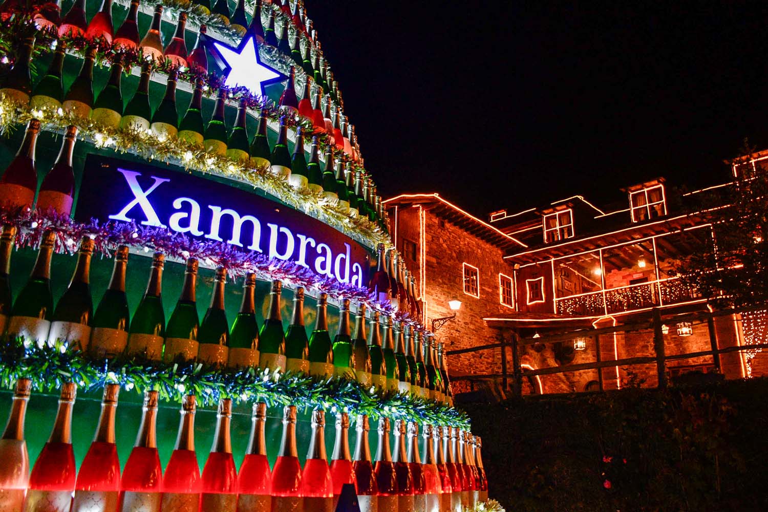 Encendido de las luces de Navidad del Palacio de Canedo (37)