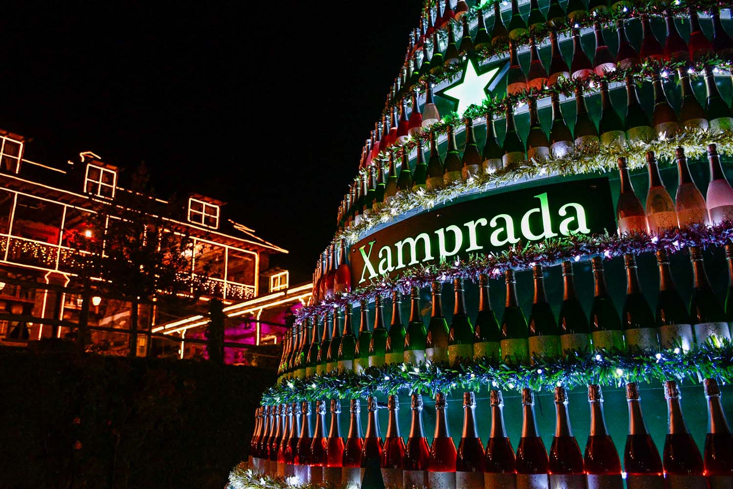 Encendido de las luces de Navidad del Palacio de Canedo (36)