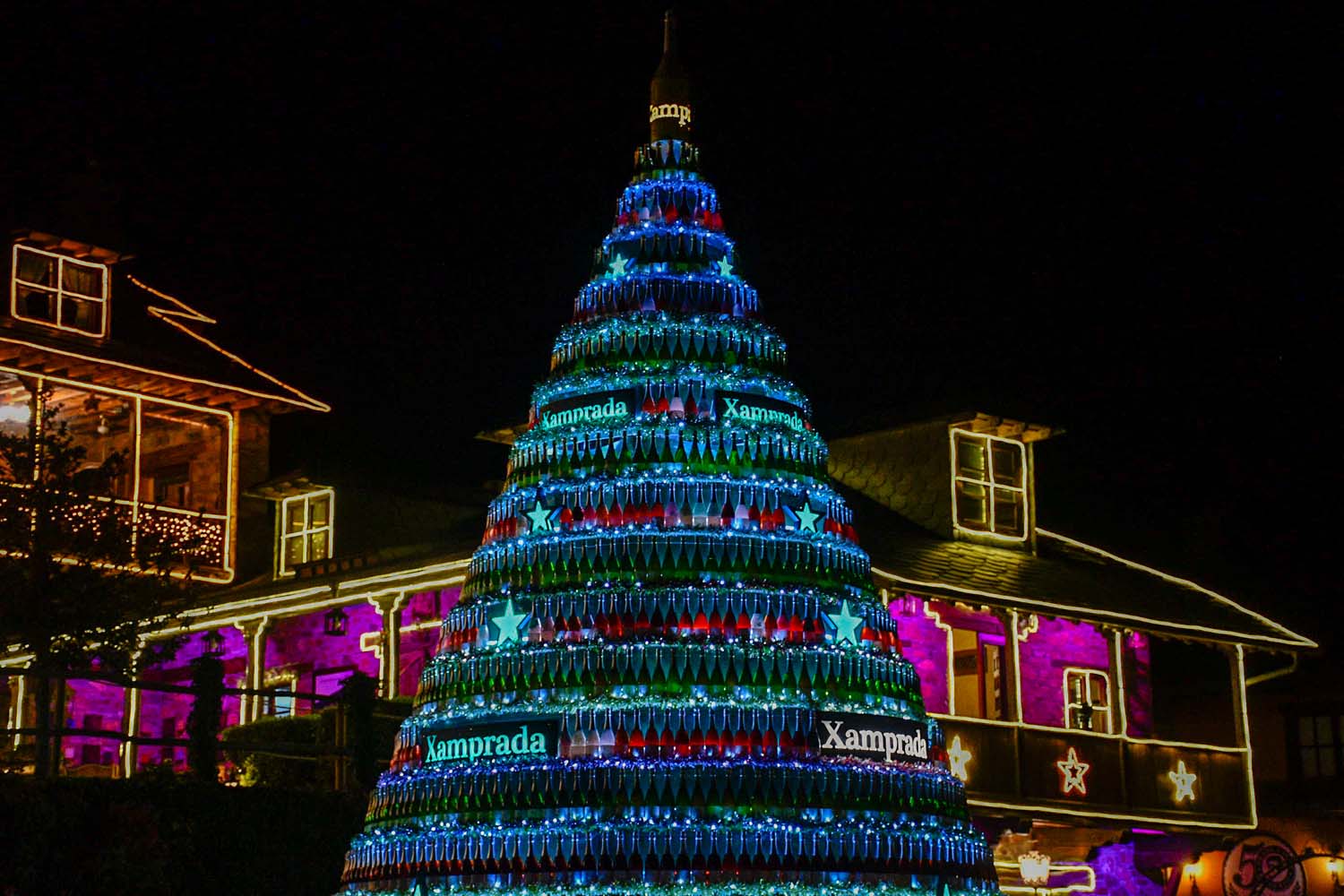 Encendido de las luces de Navidad del Palacio de Canedo (35)