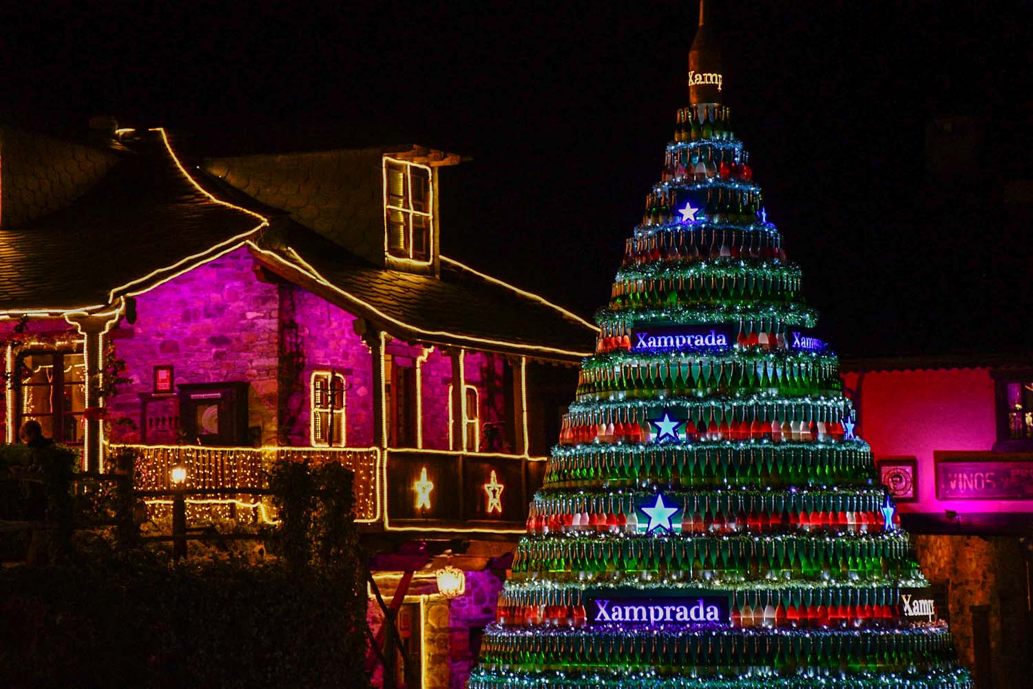 Encendido de las luces de Navidad del Palacio de Canedo (31)