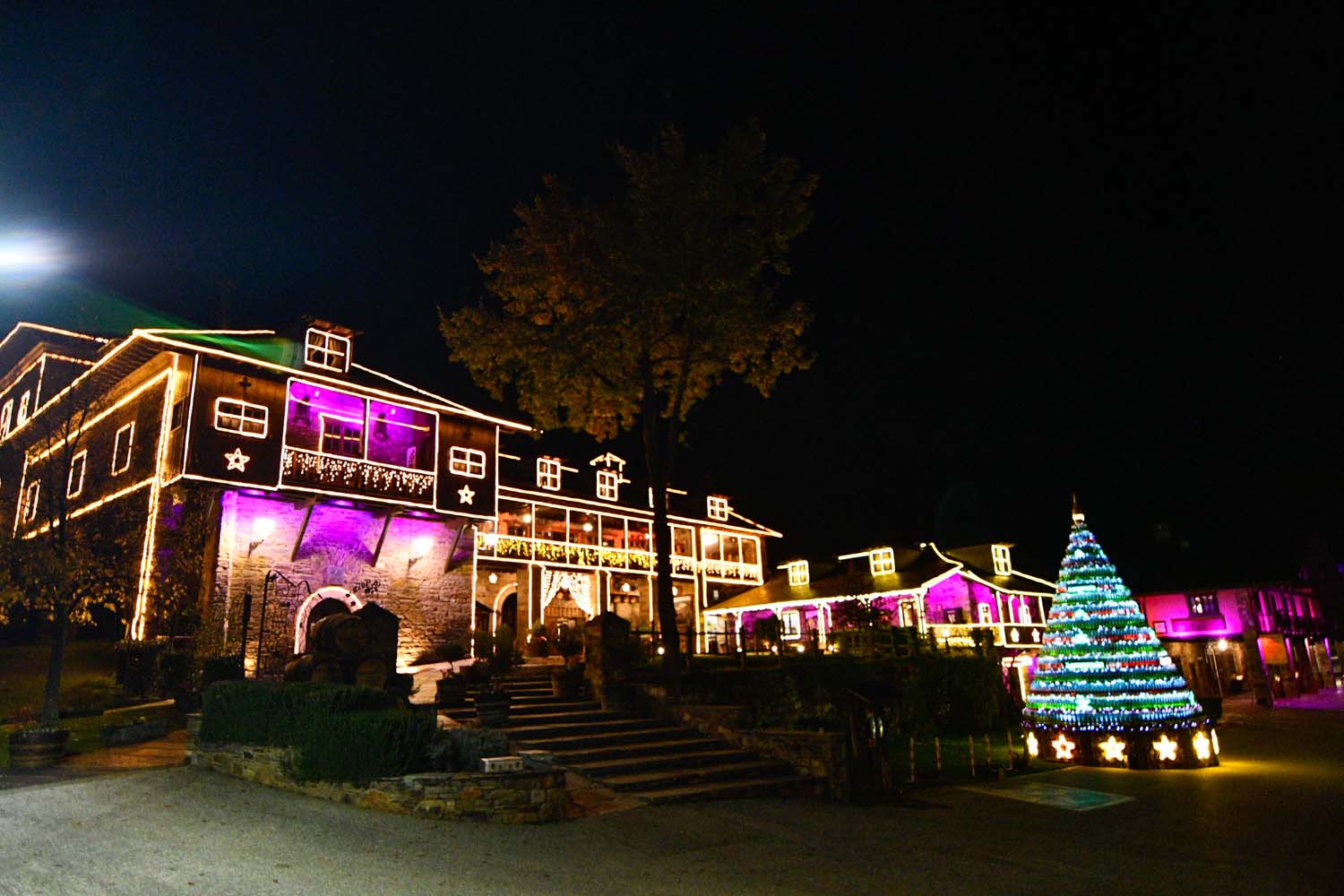 Encendido de las luces de Navidad del Palacio de Canedo (29)