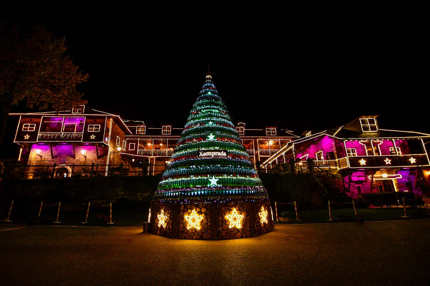 Encendido de las luces de Navidad del Palacio de Canedo (28)