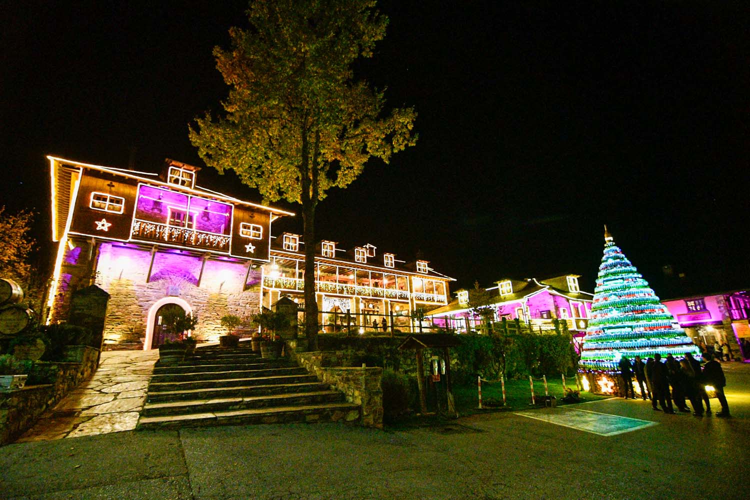 Encendido de las luces de Navidad del Palacio de Canedo (26)