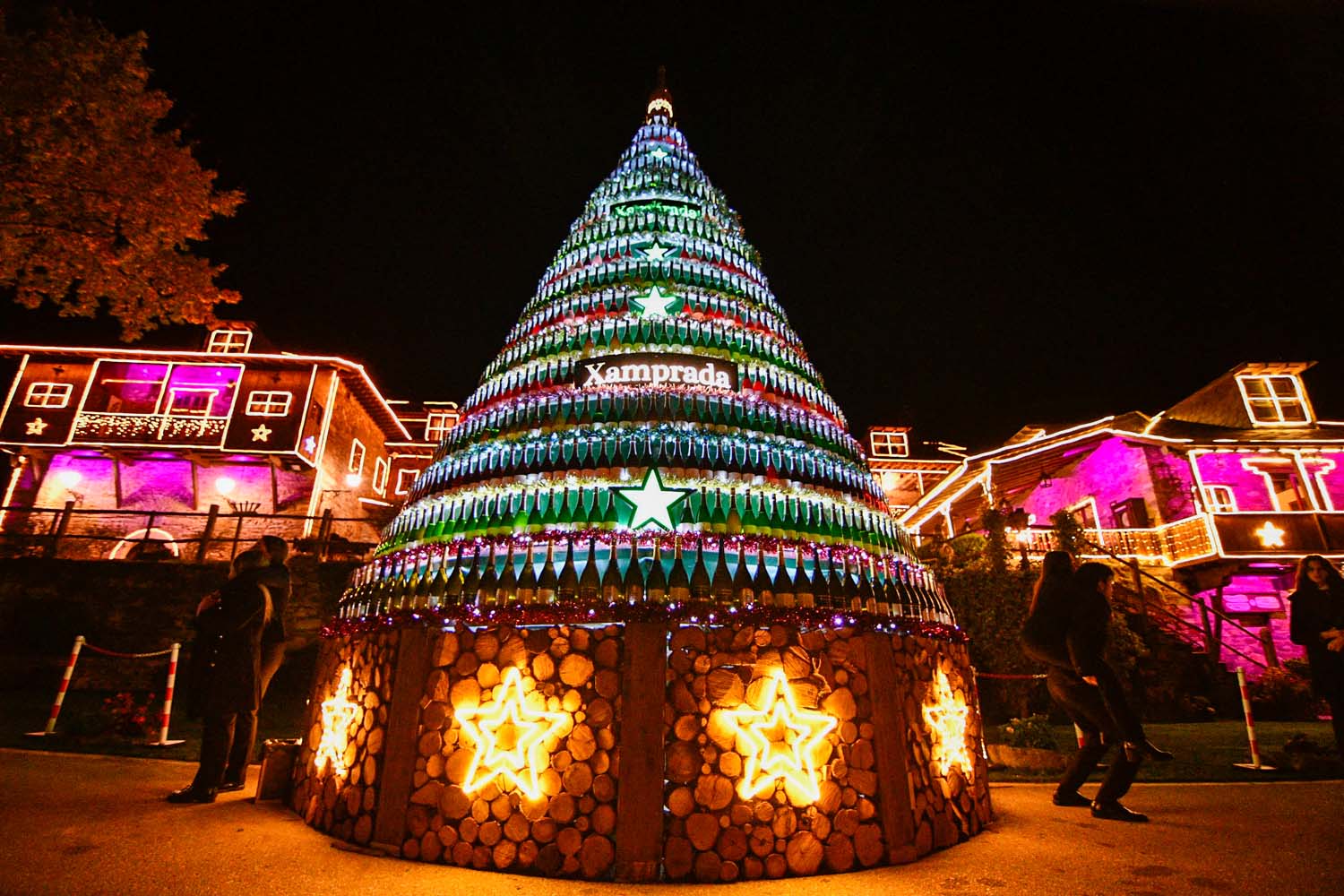 Encendido de las luces de Navidad del Palacio de Canedo (23)