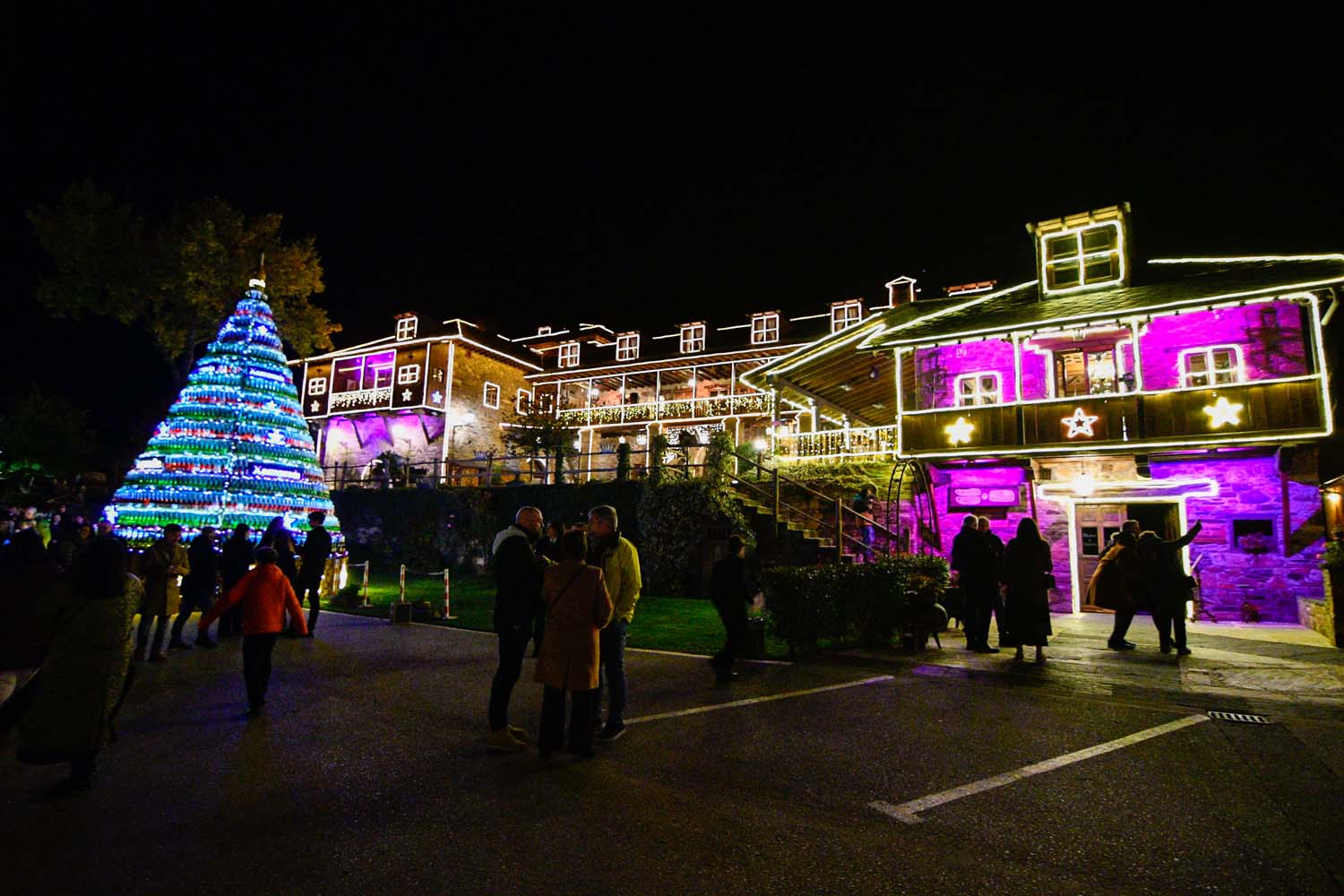 Encendido de las luces de Navidad del Palacio de Canedo (21)