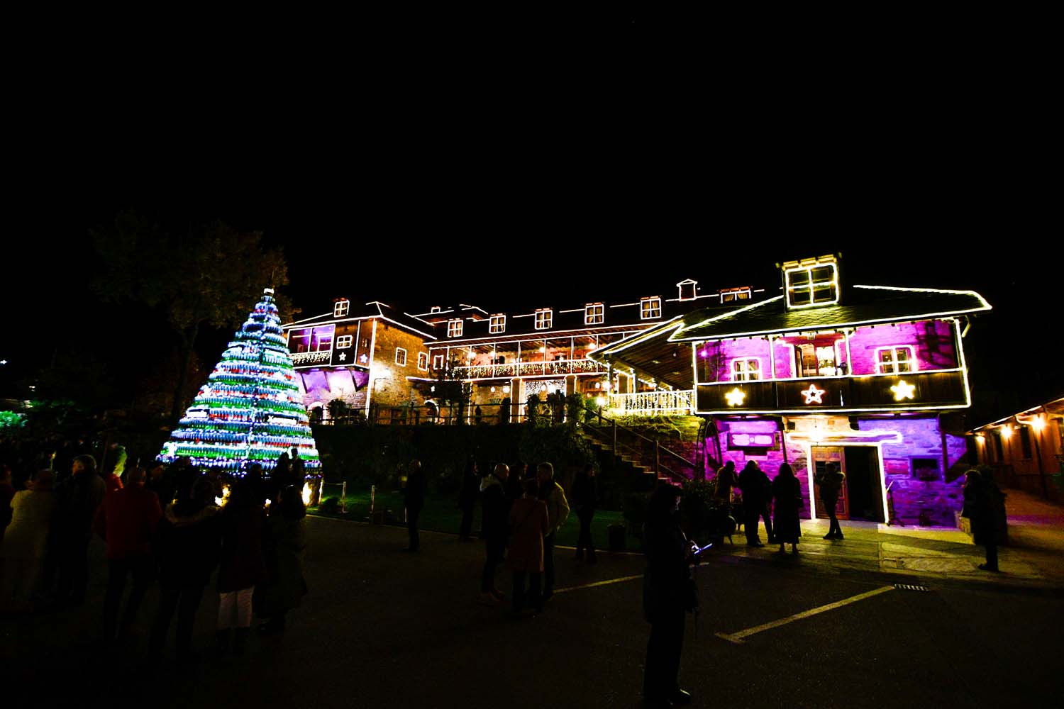 Encendido de las luces de Navidad del Palacio de Canedo (20)