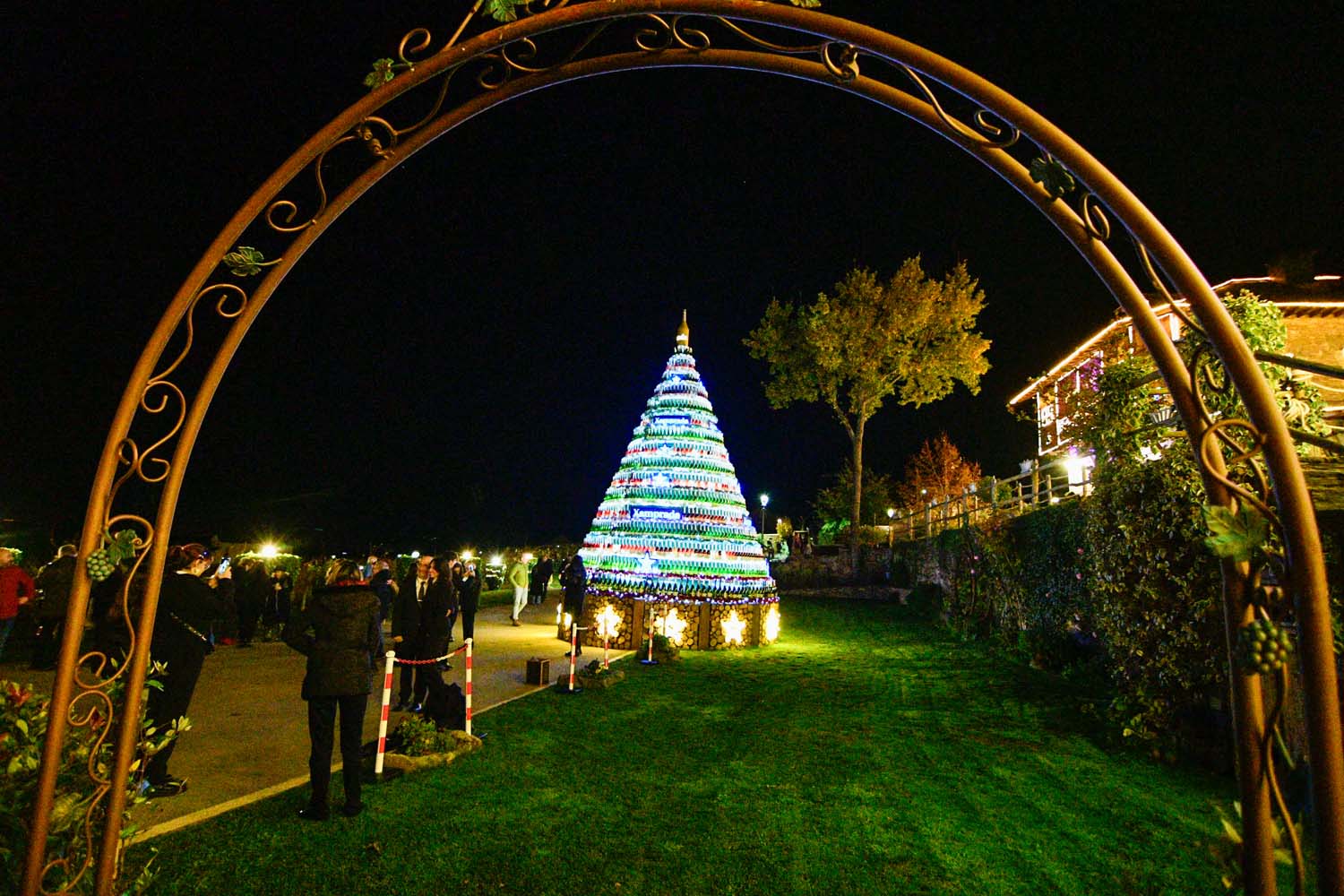 Encendido de las luces de Navidad del Palacio de Canedo (18)