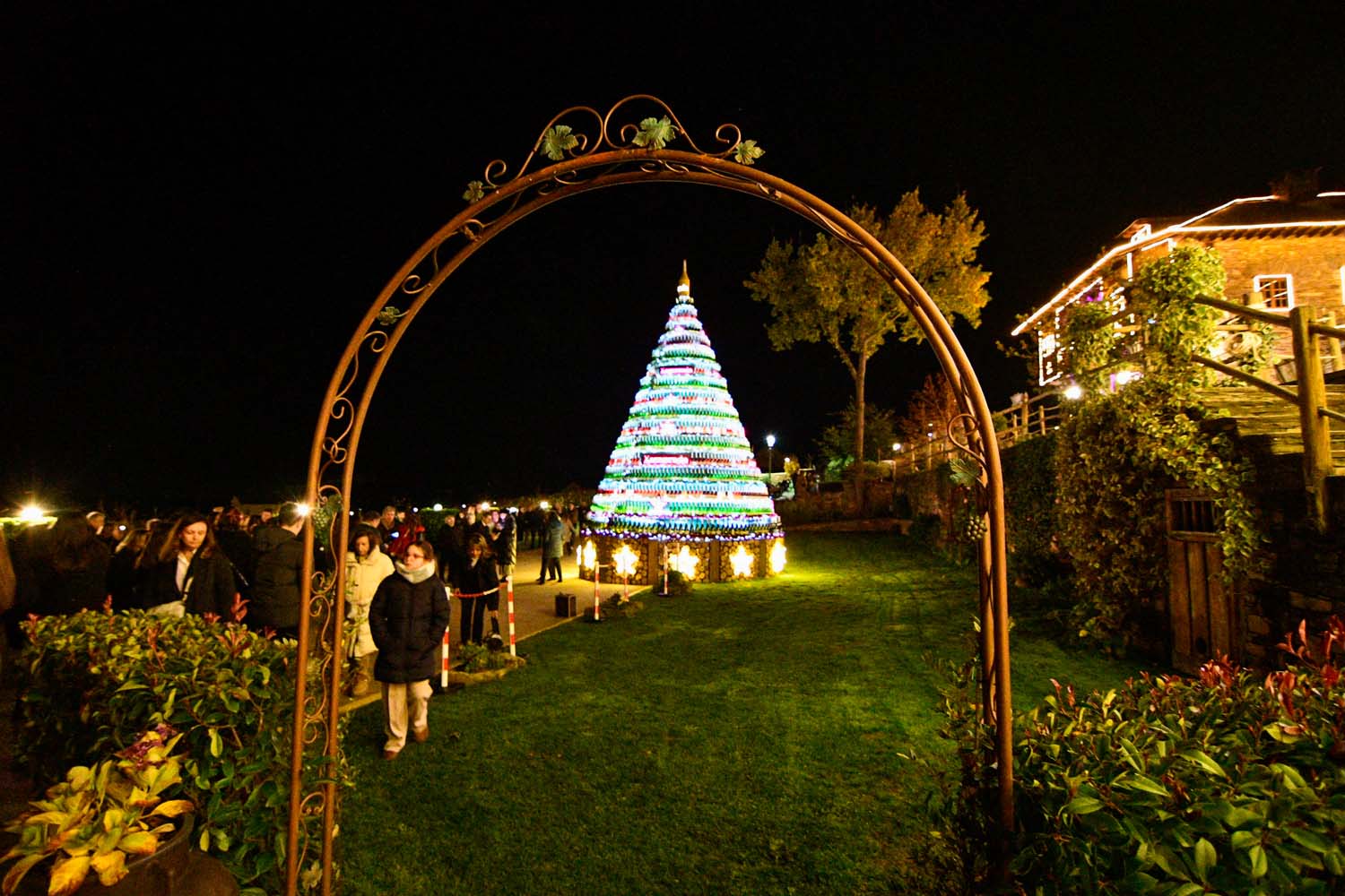 Encendido de las luces de Navidad del Palacio de Canedo (16)